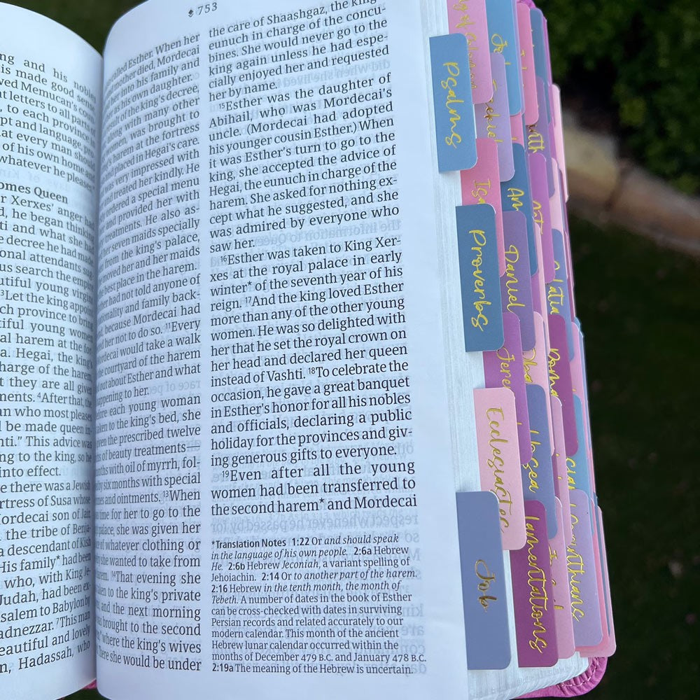 Pink NLT Personal Size Giant Print Holy Bible with Ombre Tabs,Red Letter, Leather Touch with personalized Name