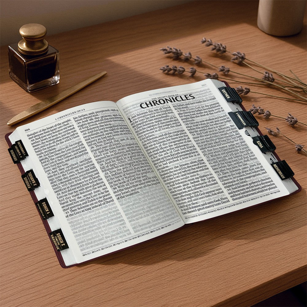 KJV Holy Bible, Giant Print Full-size Faux Leather Red Letter Edition - Thumb Index & Ribbon Marker, King James Version, Dark Brown (KJV Full Size GP Editions)