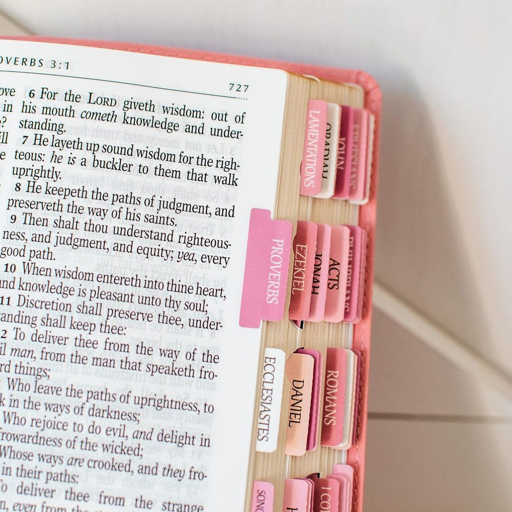 KJV Holy Bible, Giant Print Full-size Faux Leather Red Letter Edition - Thumb Index & Ribbon Marker, King James Version, Pink (KJV Full Size GP Editions)