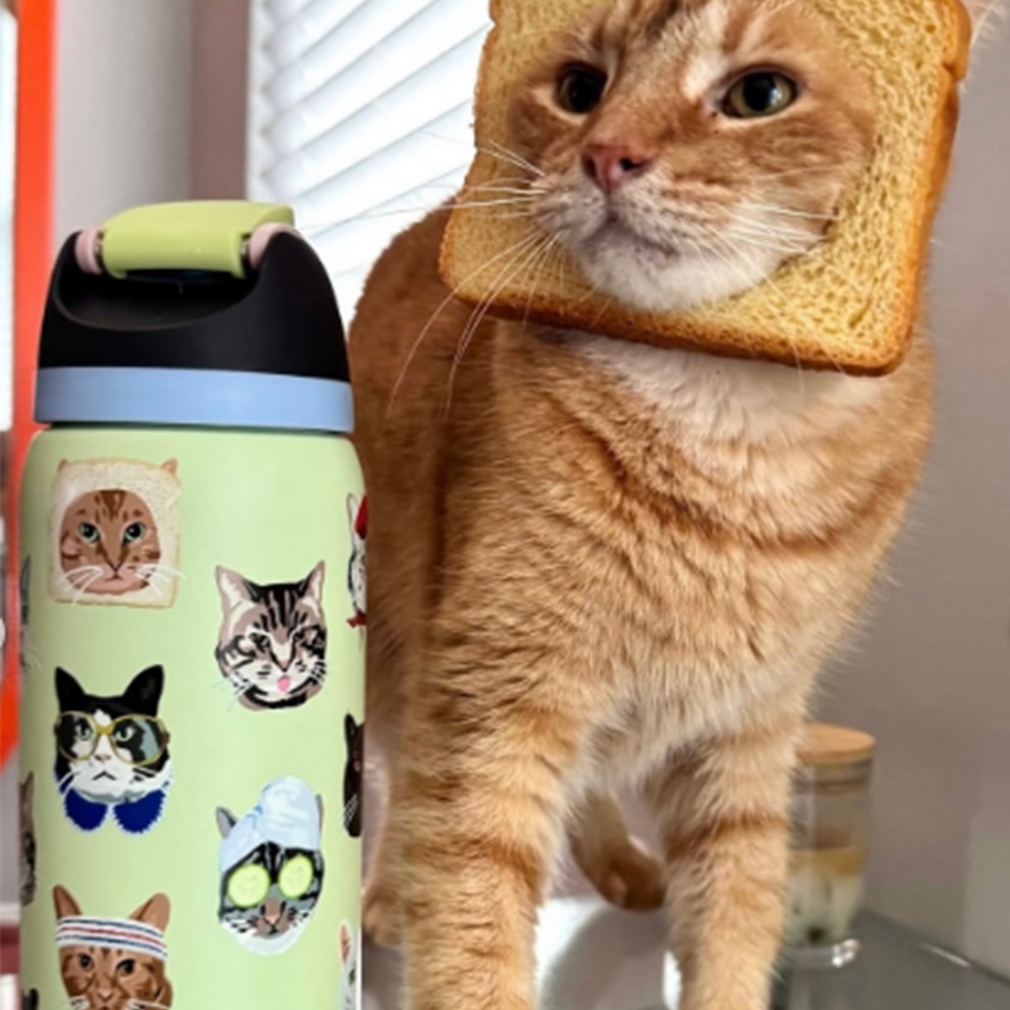 Cat Collage Water Bottle