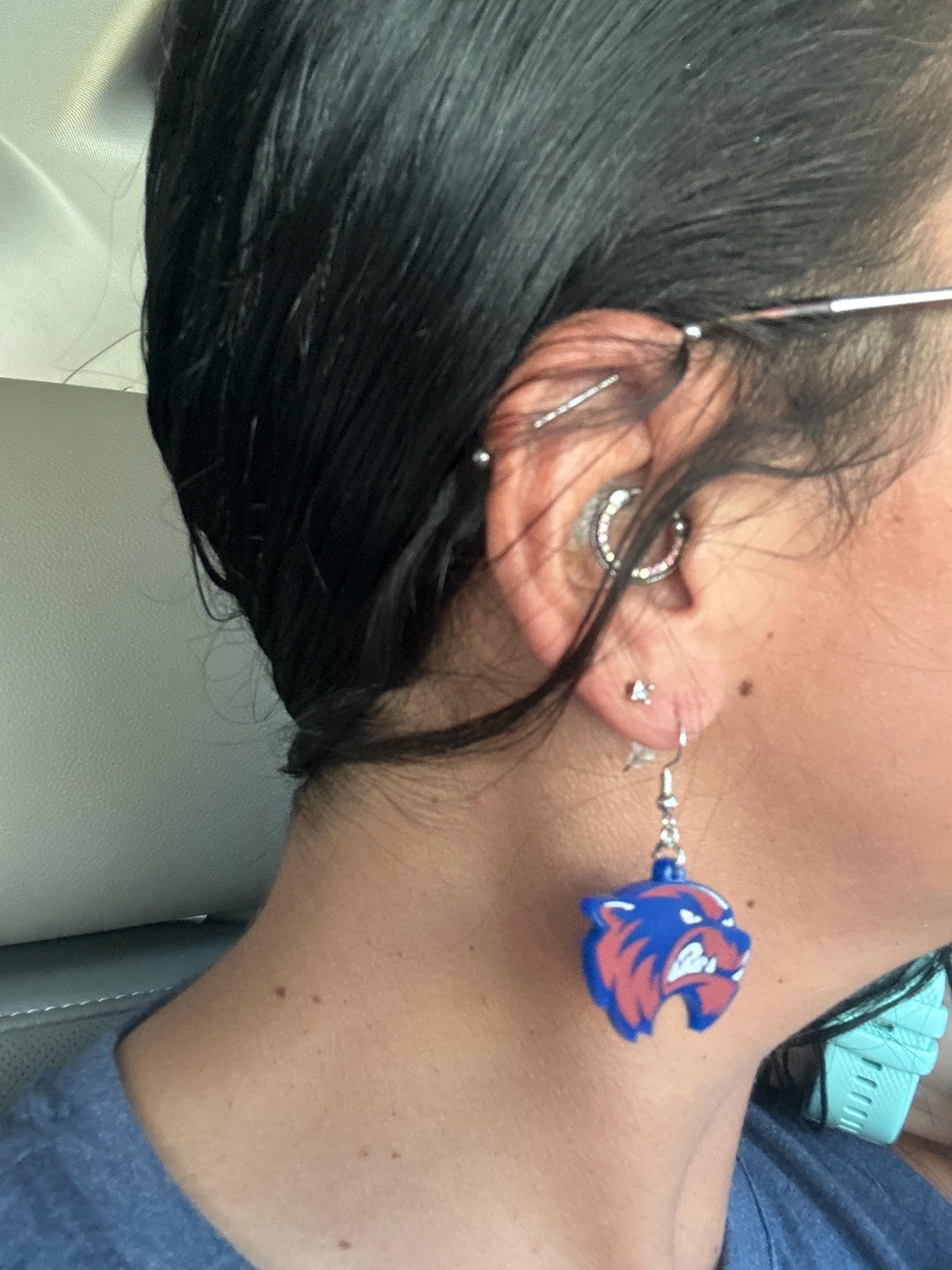 Custom School Mascot/Logo Laser Cut Painted Dangle Earrings | High School | College | Band | Cheer | Booster | Fundraiser