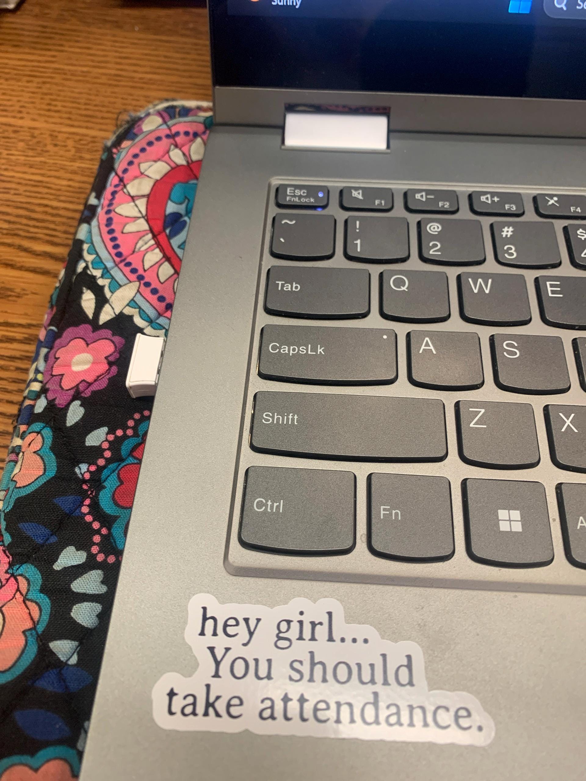 Teacher Stickers, Funny Gift for Teachers, Hey Girl, You should take attendance