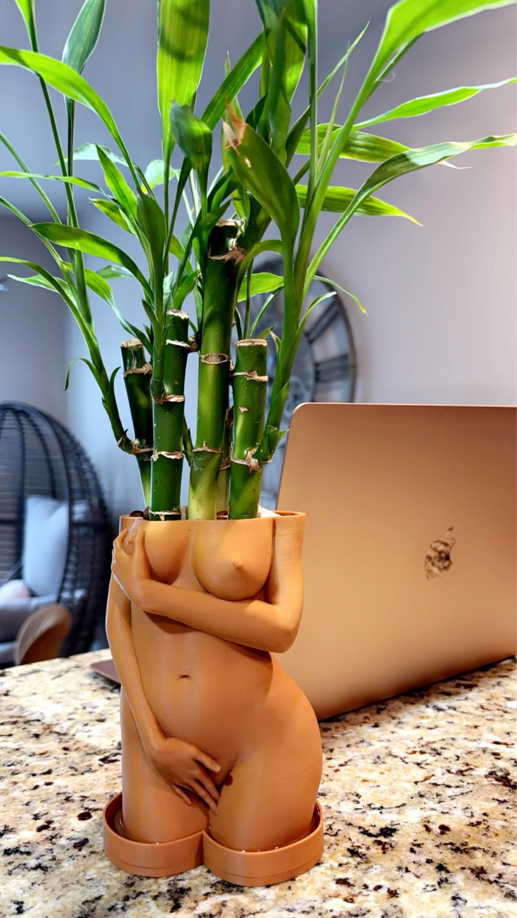 Unique Pot Artistic Naked Woman Planter, Fun Shy Decor, Quirky Office Decoration, Artistic Home Gift Idea, shy woman plant pot, female body