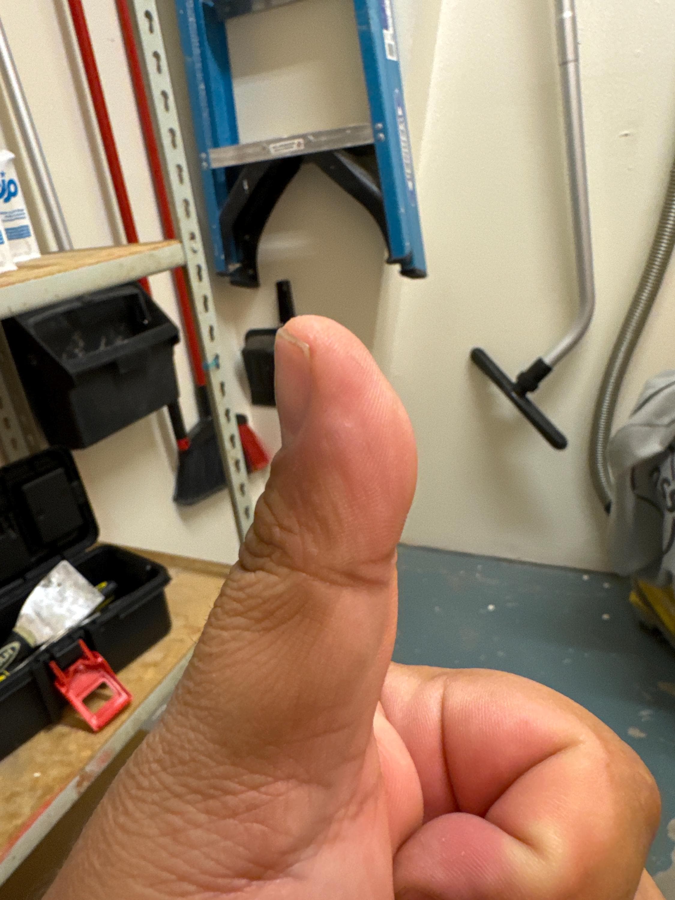 The Four Guardians Metal Bookmark Box Set | Book Lover Gift | Fantasy Collector Set | Limited Edition Mythology Based Design