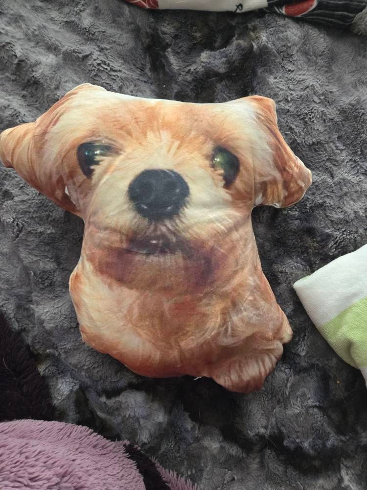 Personalized Pet Pillow, Custom 3D Pet Pillow, Ugly Pet Pillow, Pet Shaped Pillow, Pet Lover Gift, Gift for Cat Lover, Back to School Gift