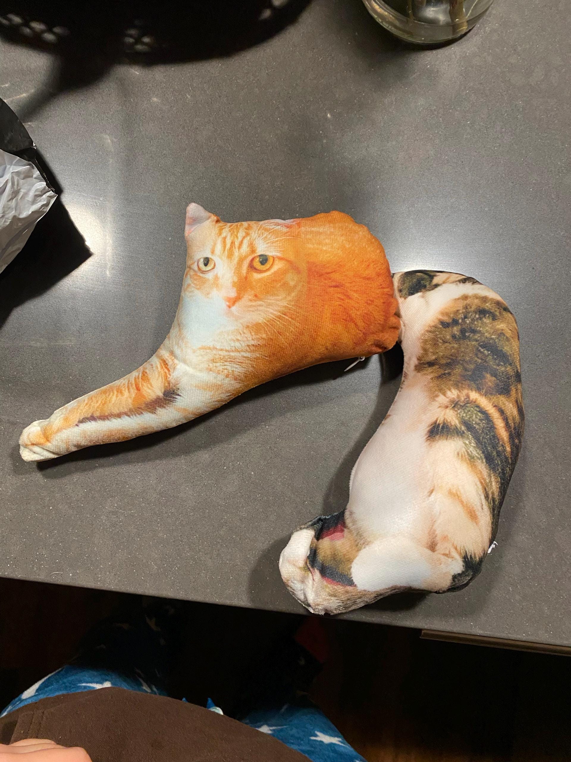 Personalized Pet Pillow, Custom 3D Pet Pillow, Ugly Pet Pillow, Pet Shaped Pillow, Pet Lover Gift, Gift for Cat Lover, Back to School Gift