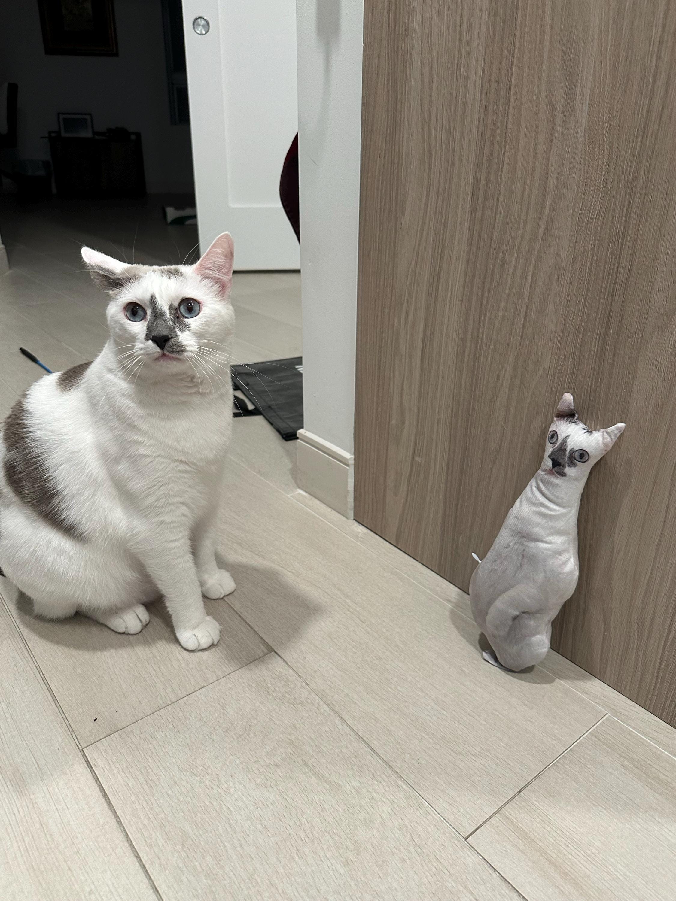 Personalized Pet Pillow, Custom 3D Pet Pillow, Ugly Pet Pillow, Pet Shaped Pillow, Pet Lover Gift, Gift for Cat Lover, Back to School Gift