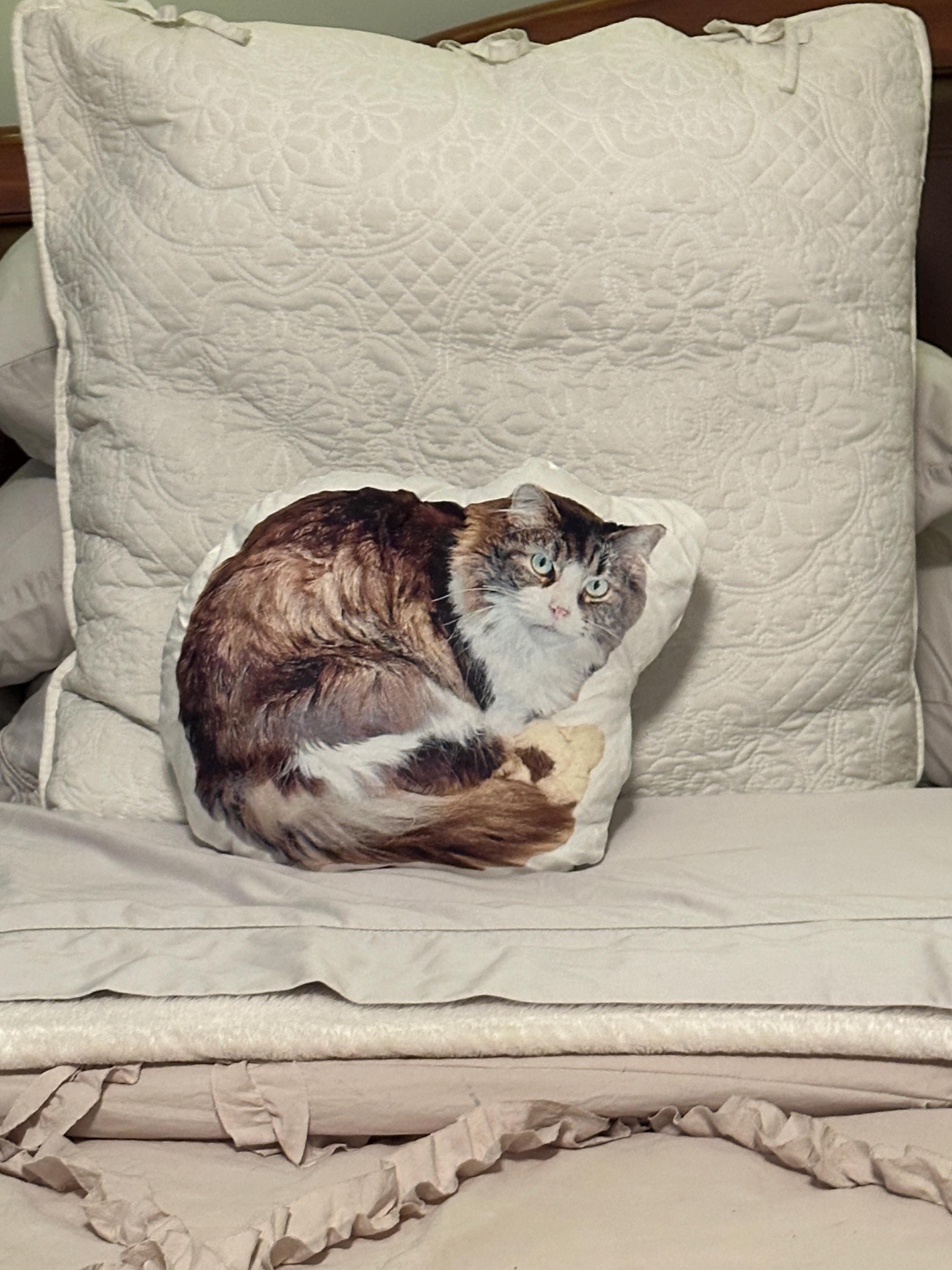 Personalized Pet Pillow, Custom 3D Pet Pillow, Ugly Pet Pillow, Pet Shaped Pillow, Pet Lover Gift, Gift for Cat Lover, Back to School Gift