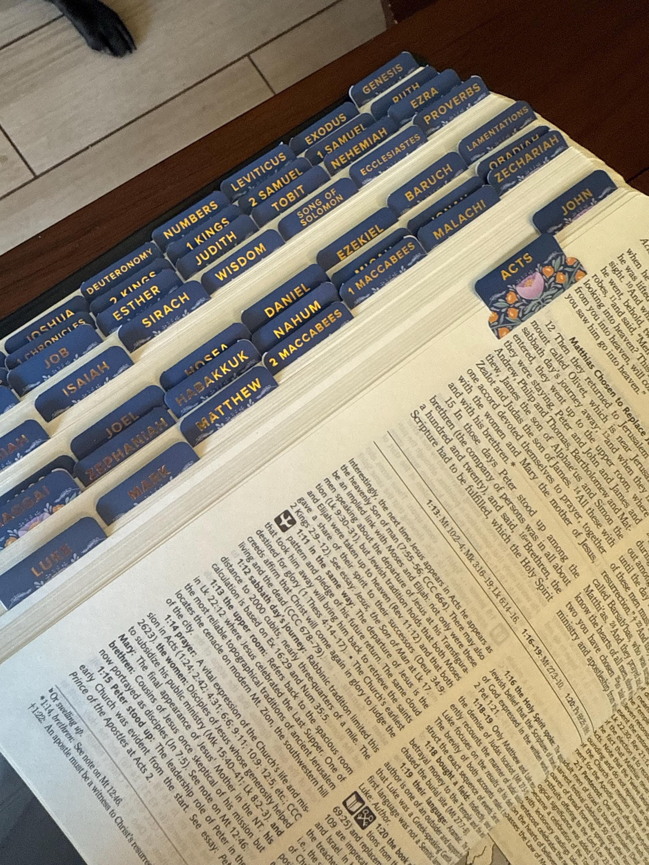 Mary's Garden Catholic Bible Tabs