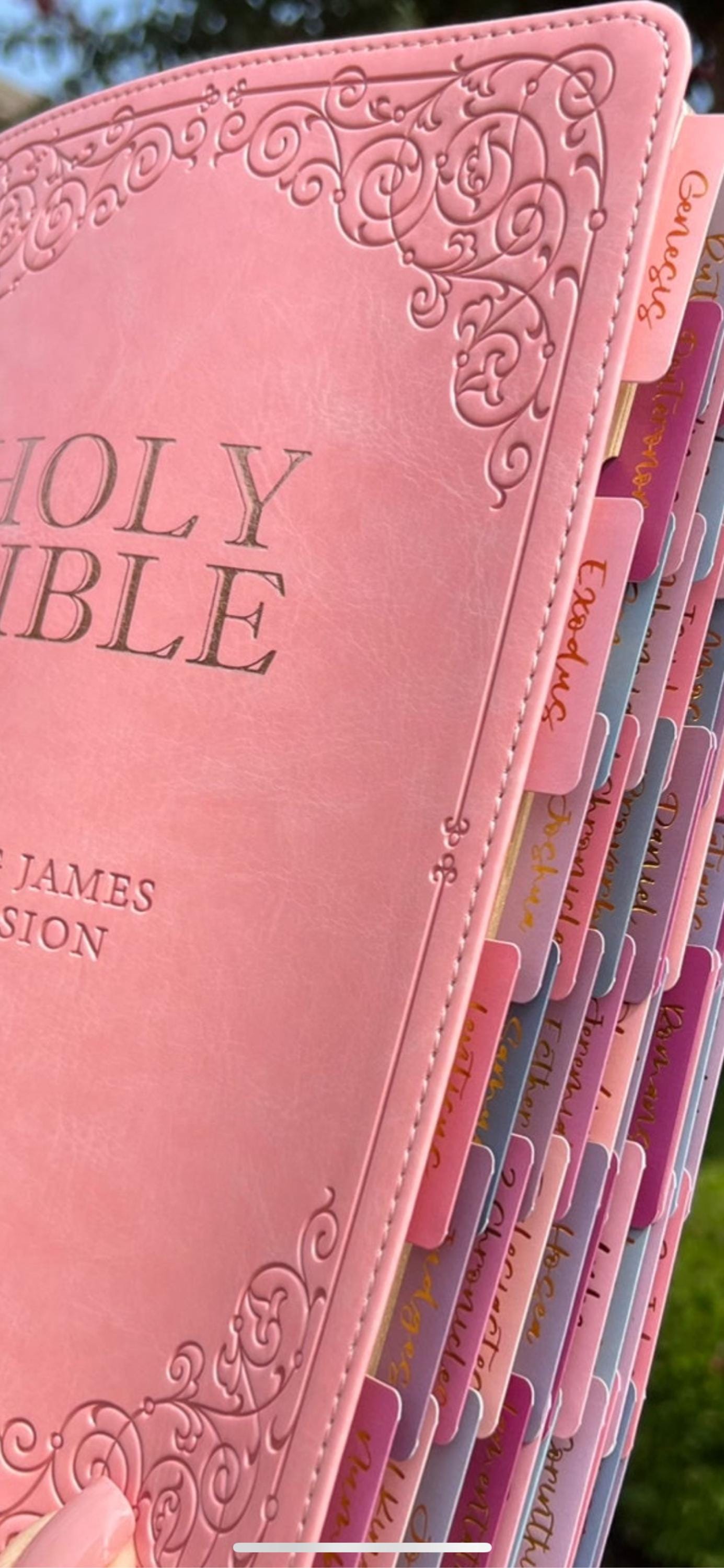 Beautiful KJV Pink Leather Soft Giant Print Bible with Ombre Tabs