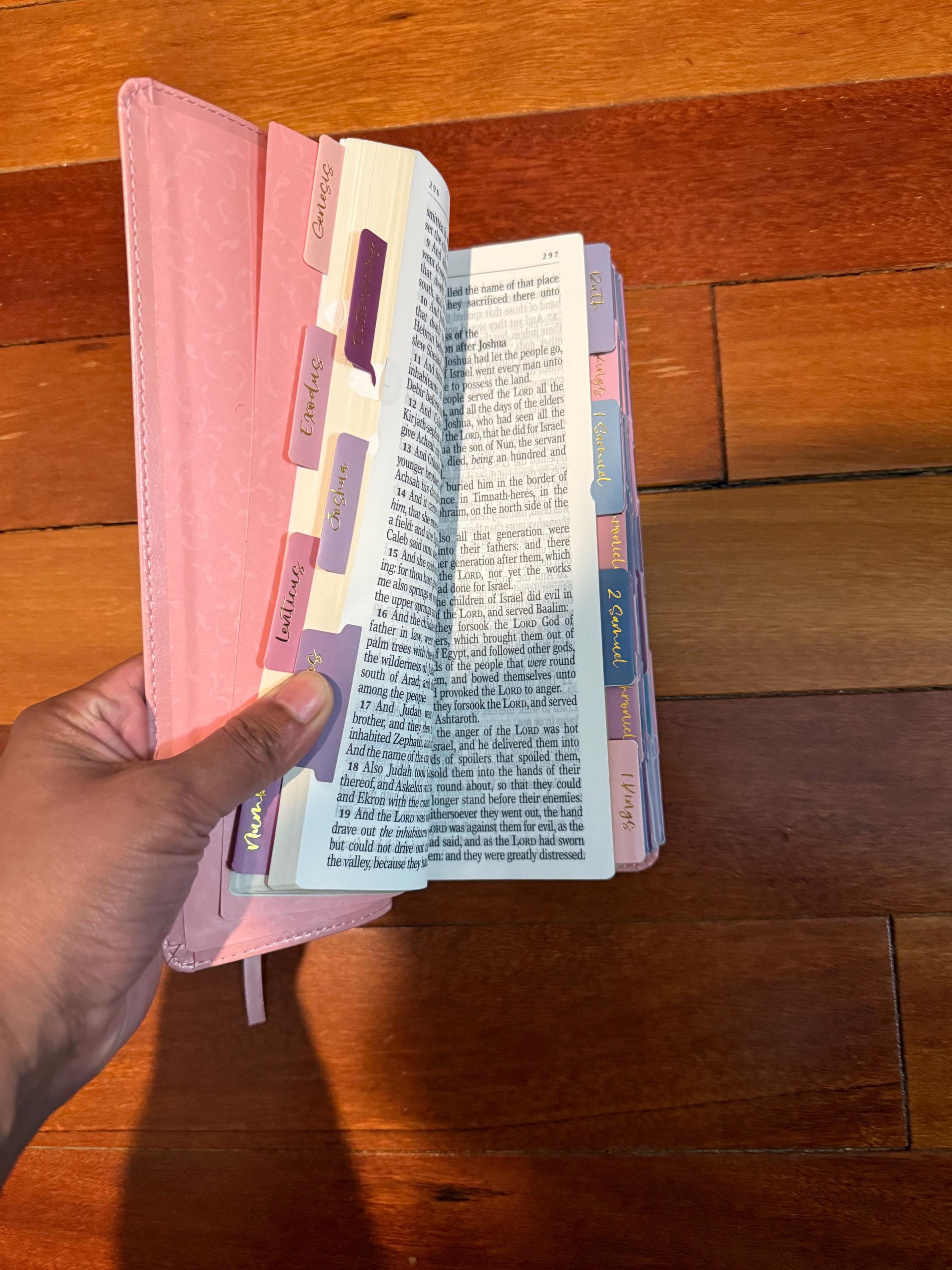 Beautiful KJV Pink LeatherSoft Giant Print Bible with Pink Ombre Tabs and Personalized with Name