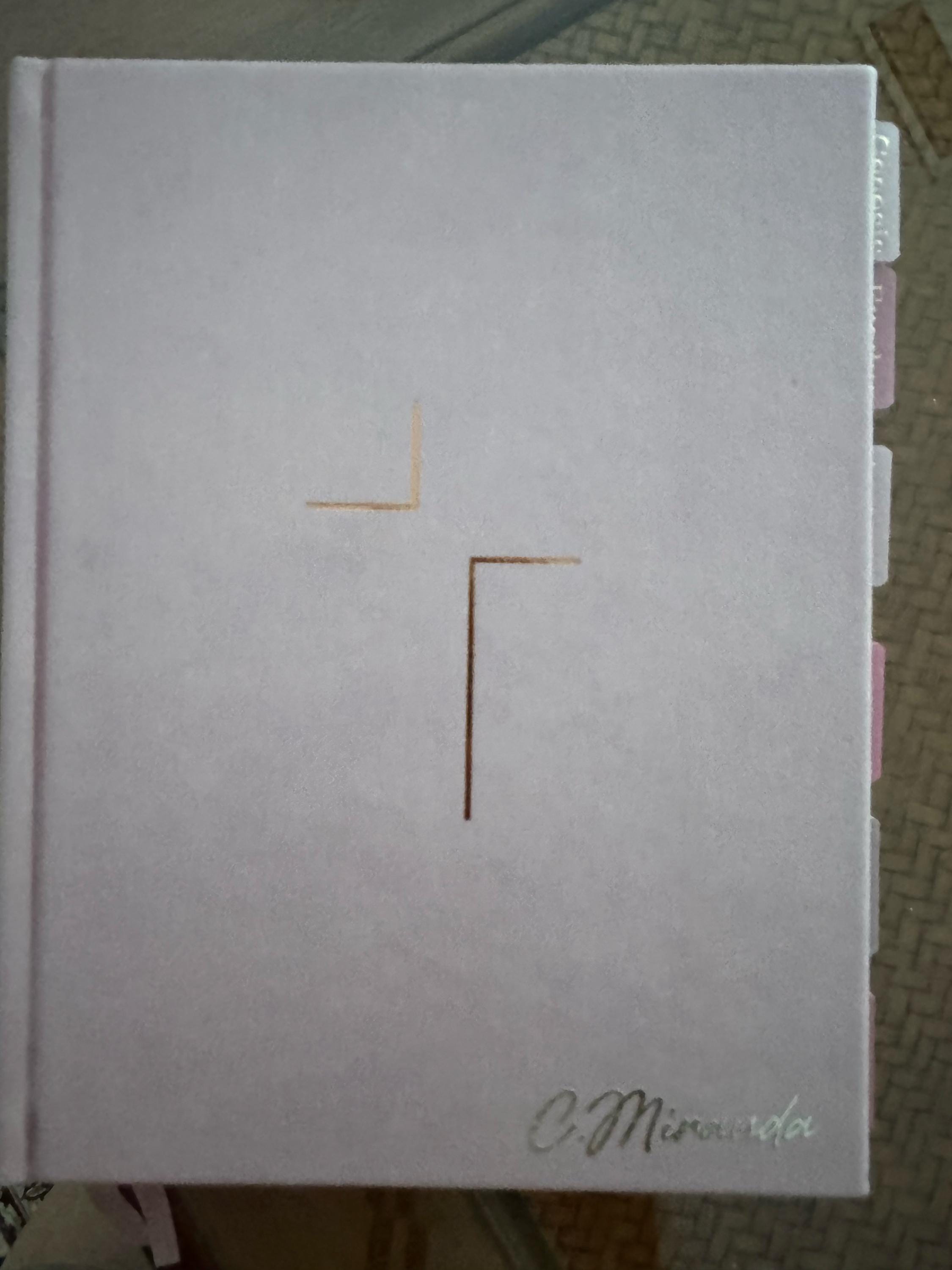 pink NIV JESUS BIBLE, Bible with tabs, personalized gifts, pink hard cover