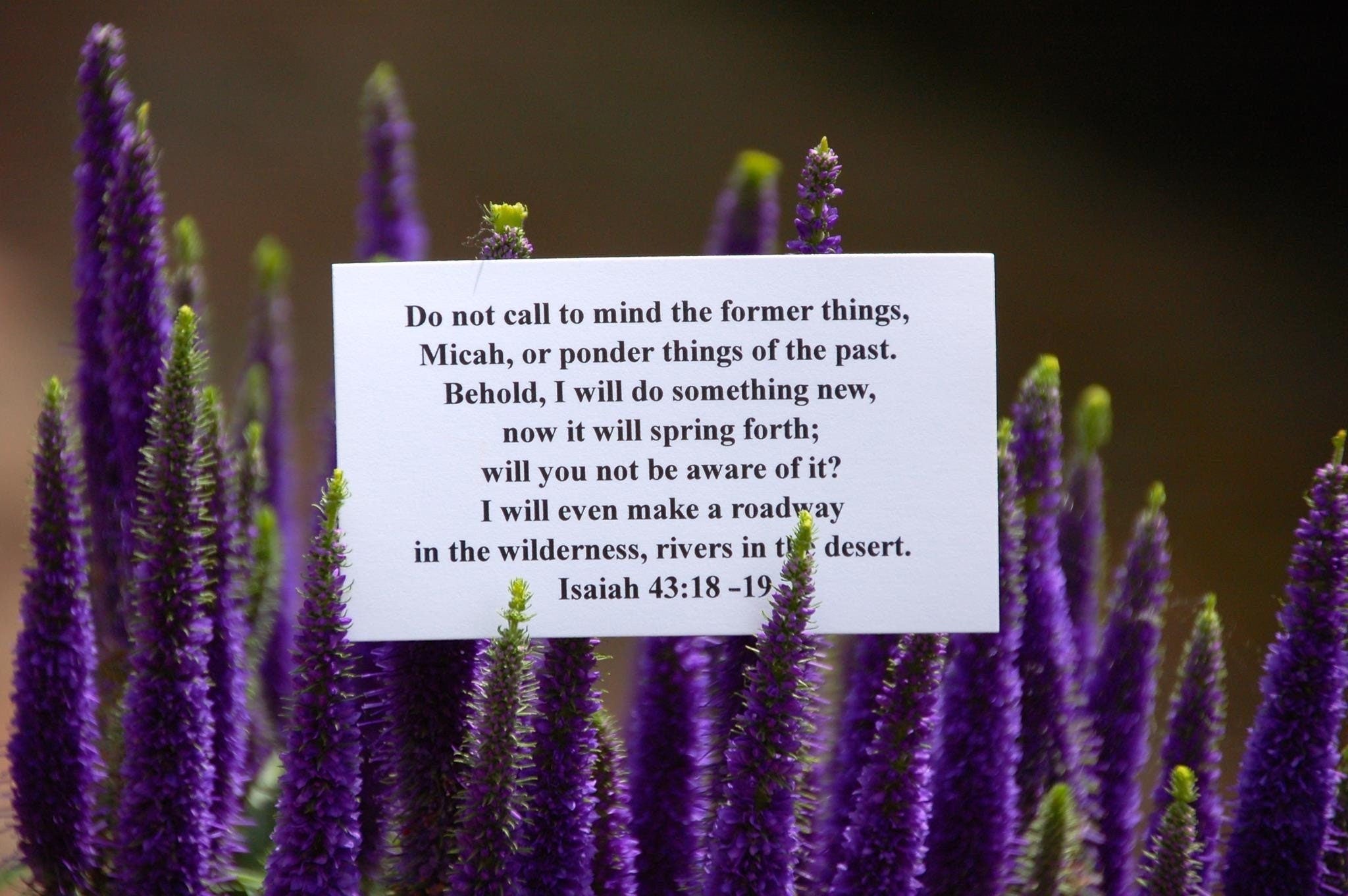 Personalized Scripture Cards, Encouragement Cards, Inspirational Cards, Encouragement Gift, Encouraging, Bible,Christian Gift, Catholic Gift