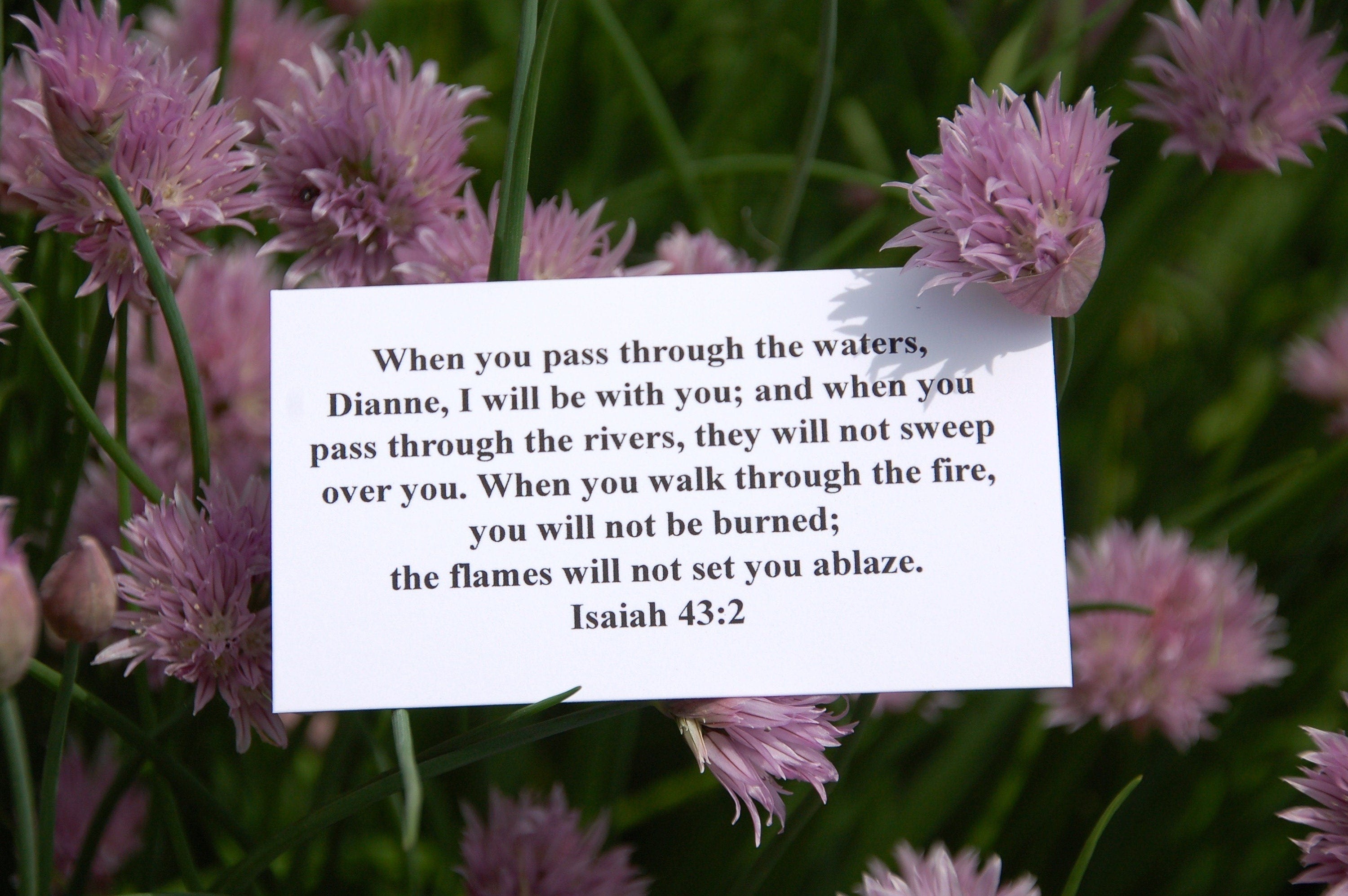 Personalized Scripture Cards, Encouragement Cards, Inspirational Cards, Encouragement Gift, Encouraging, Bible,Christian Gift, Catholic Gift