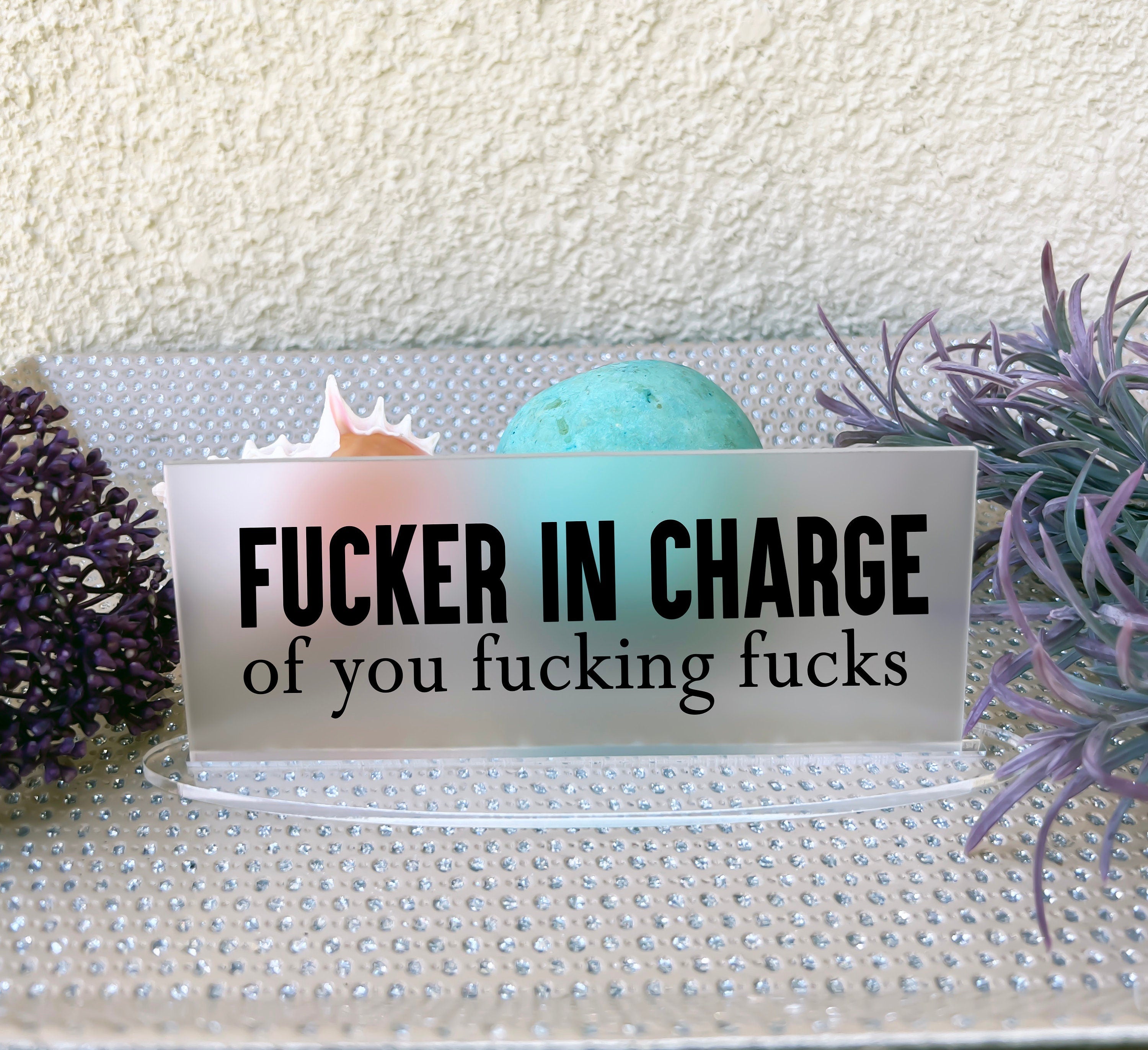 Fucker in Charge Frosted Clear Desk Sign, Funny Name Plate, Boss Gag Gift, Funny Boss Sign, Gag Gift, Boss Christmas Gift, Mother's Day Gift