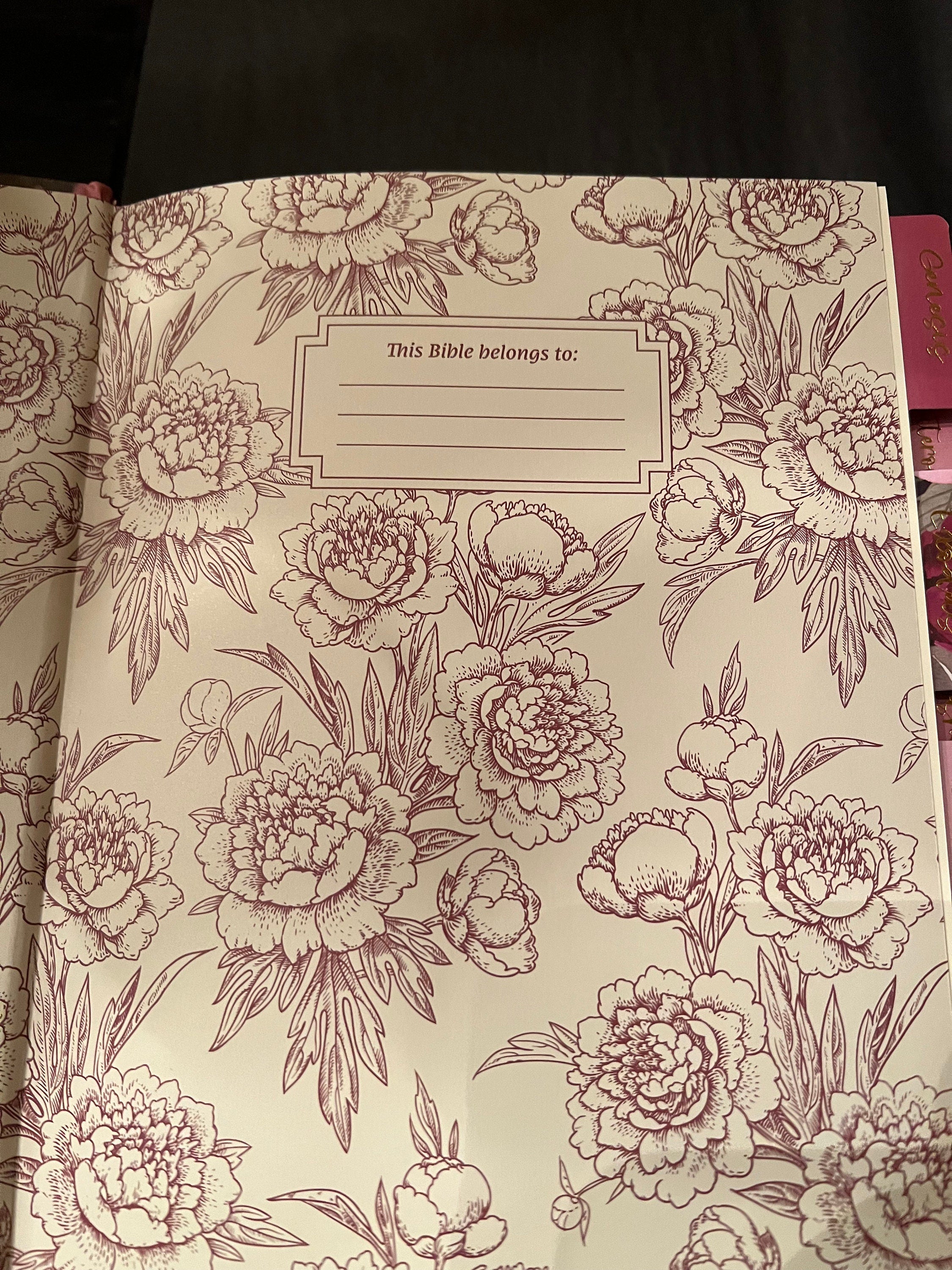 Beautiful NIV , Journaling, Notes Bible with Gorgeous handcrafted laminated Bible Tabs with gold lettering