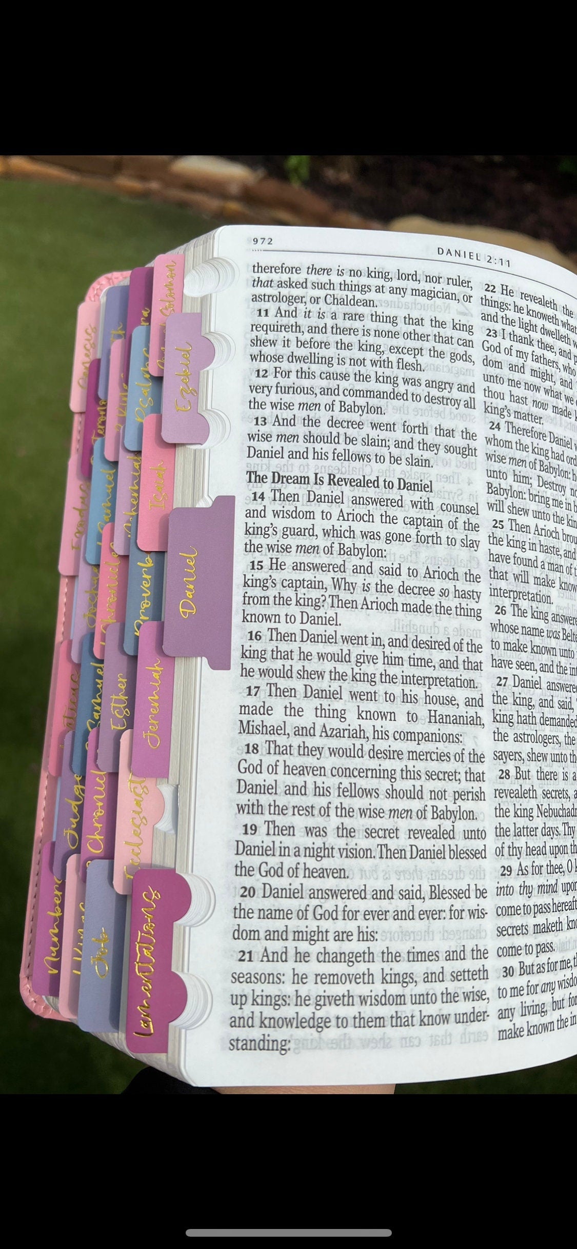Beautiful KJV Pink Leather Soft Giant Print Bible with Ombre Tabs