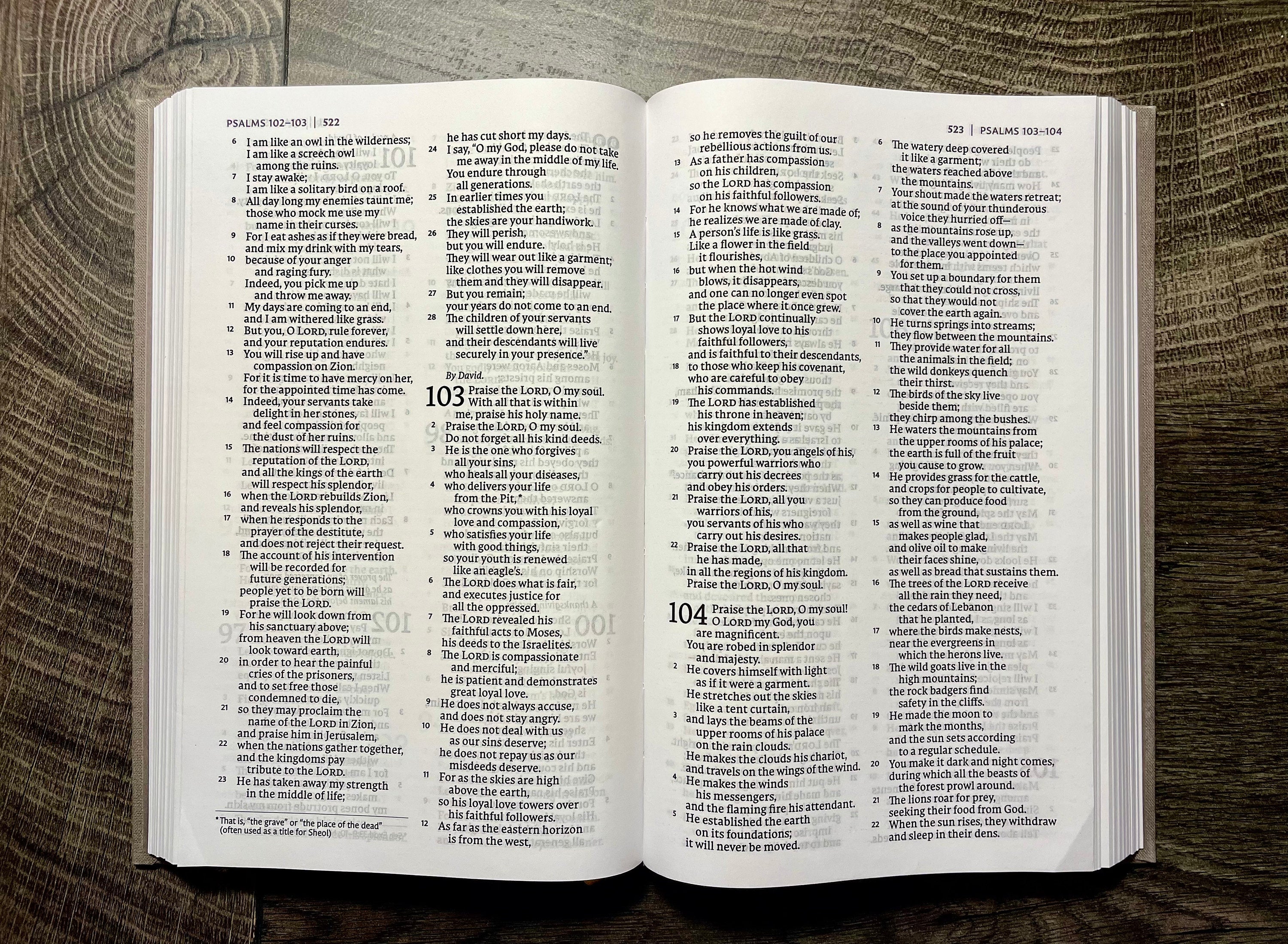 Custom Hand Painted Bibles, Love Shack Fancy, Confirmation Gift, Wedding Guestbook, Mother's Day Gift, She Reads Truth Bibles, Teen Bible