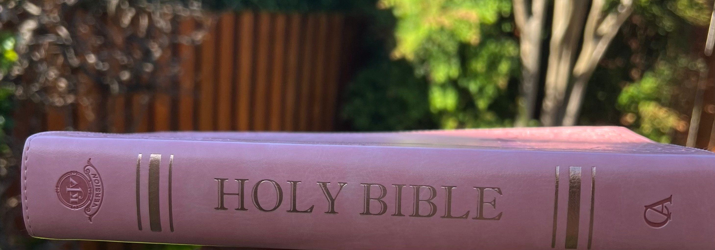 Beautiful KJV Pink LeatherSoft Giant Print Bible with Pink Ombre Tabs and Personalized with Name