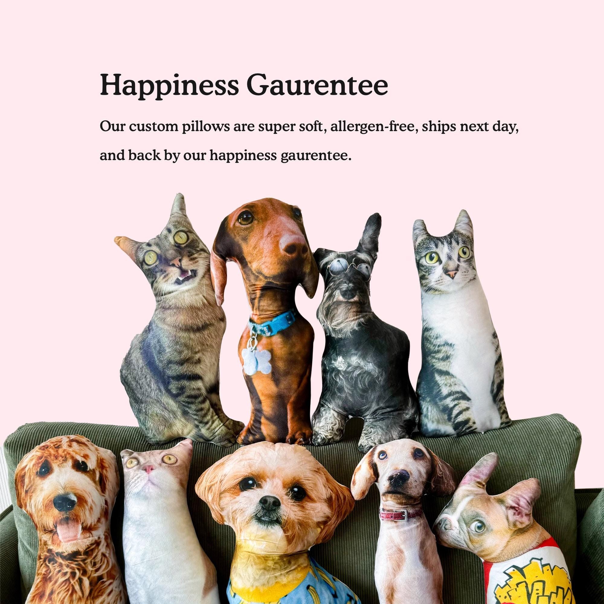 Personalized Pet Pillow, Custom 3D Pet Pillow, Ugly Pet Pillow, Pet Shaped Pillow, Pet Lover Gift, Gift for Cat Lover, Back to School Gift