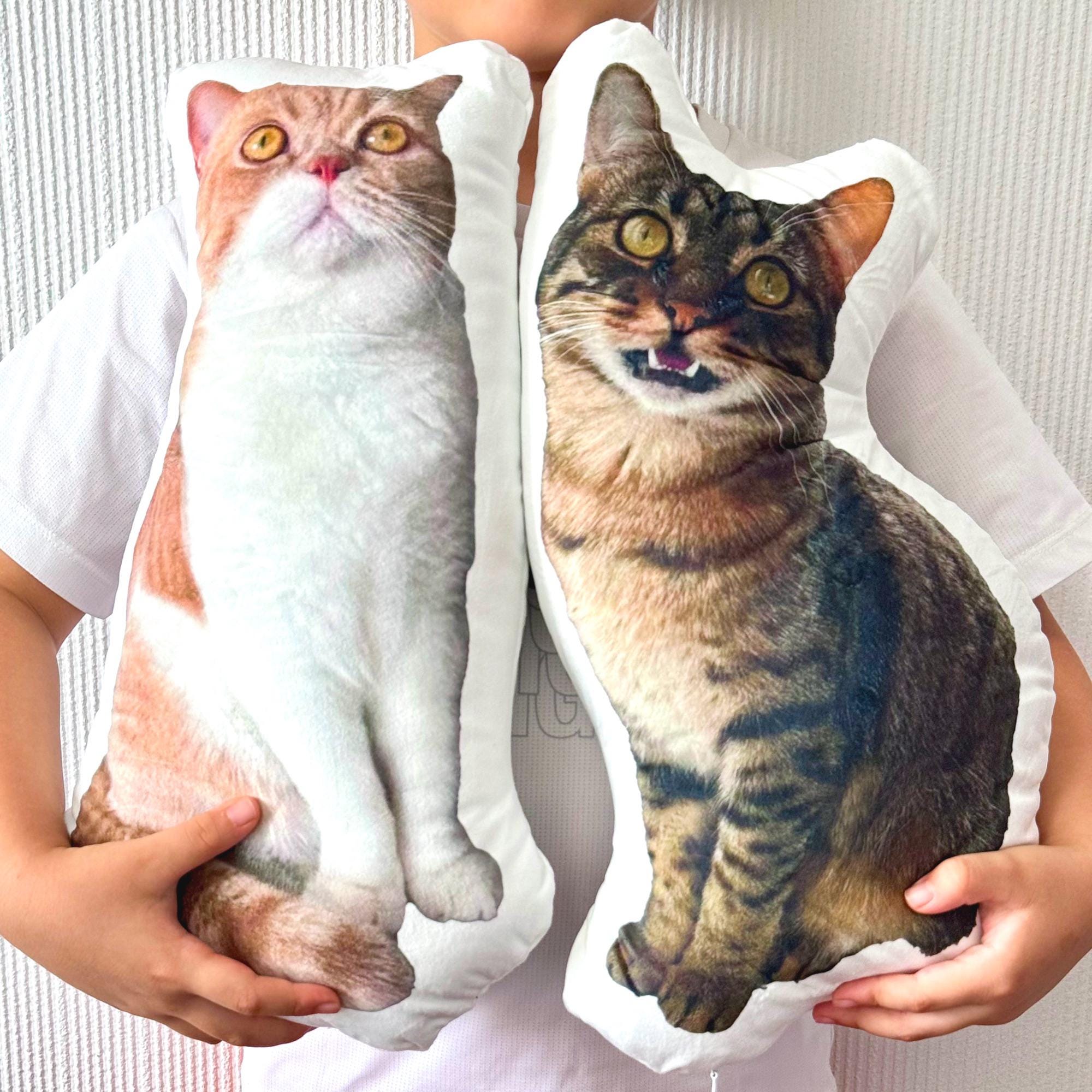 Personalized Pet Pillow, Custom 3D Pet Pillow, Ugly Pet Pillow, Pet Shaped Pillow, Pet Lover Gift, Gift for Cat Lover, Back to School Gift