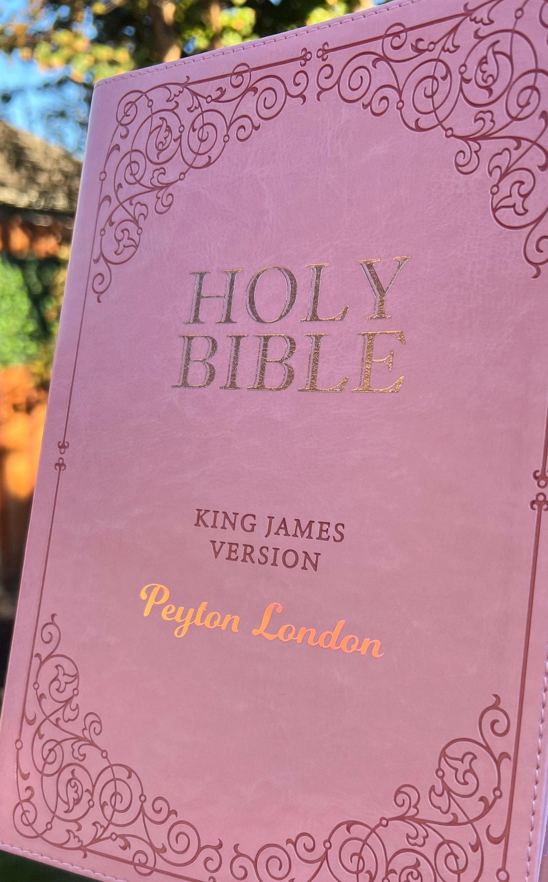 Beautiful KJV Pink LeatherSoft Giant Print Bible with Pink Ombre Tabs and Personalized with Name