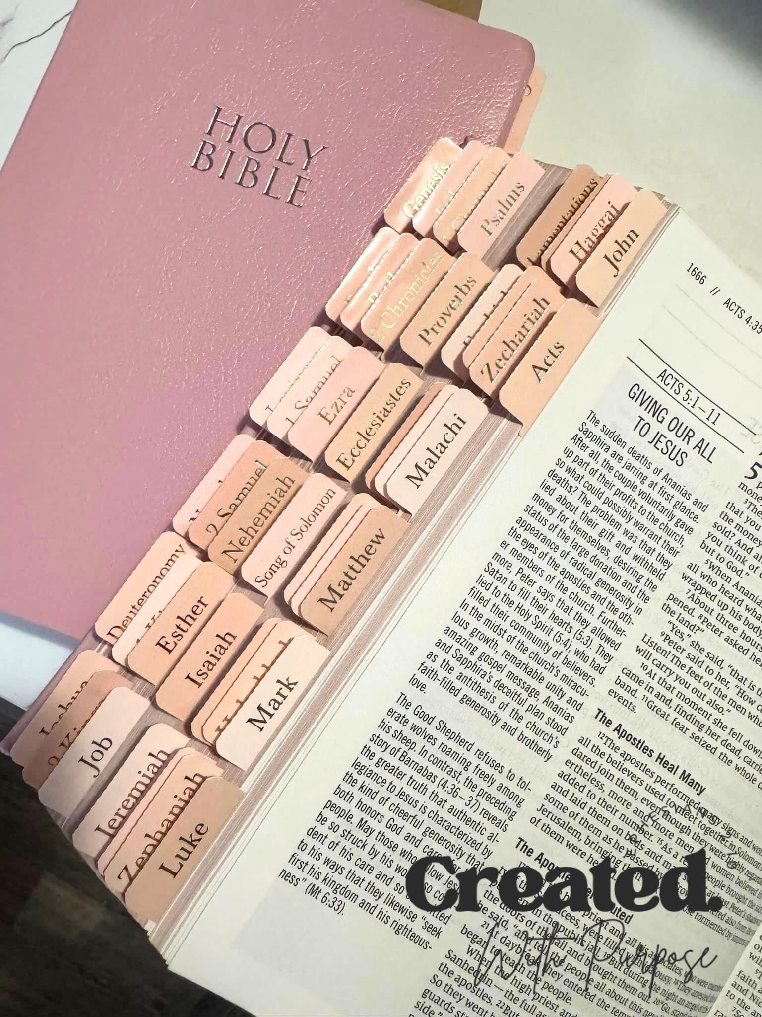 pink NIV JESUS BIBLE, Bible with tabs, personalized gifts, pink hard cover