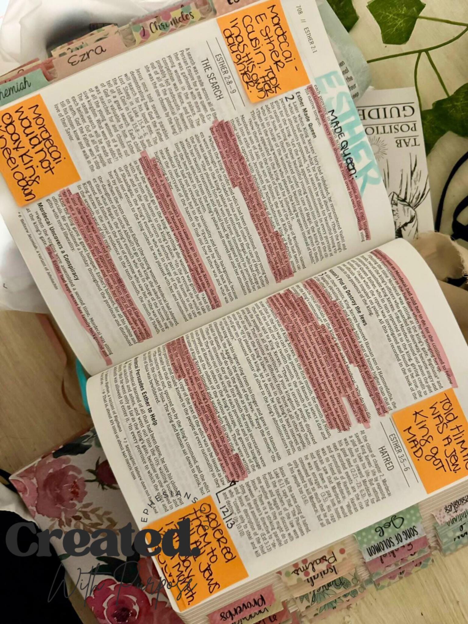 pink NIV JESUS BIBLE, Bible with tabs, personalized gifts, pink hard cover