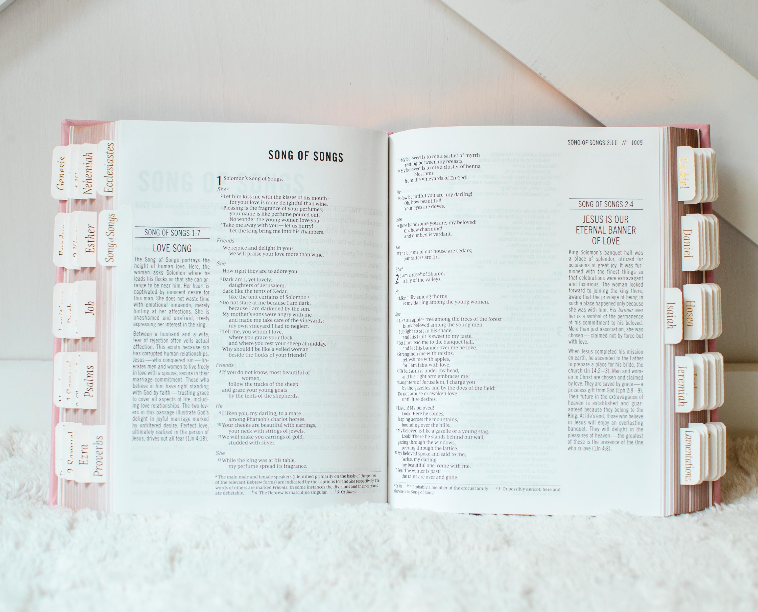 Custom Name Pink Bible NIV Tabbed Journaling Bible Gift For Her Christian Women Bible Study Gift Personalized Tabbed Bible with Tabs Custom