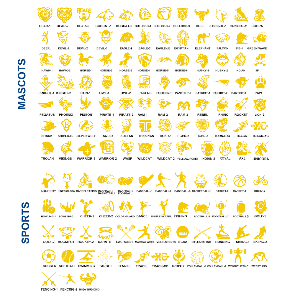 Custom Sterling Silver 925 Men's Class Ring for High School and College, Statement Ring, Birthstone Jewelry