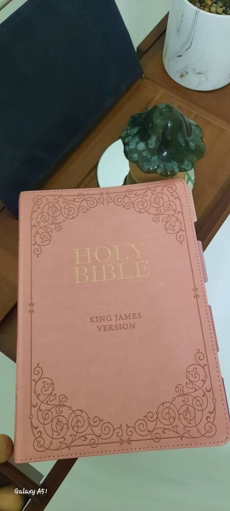 Beautiful KJV Pink Leather Soft Giant Print Bible with Ombre Tabs