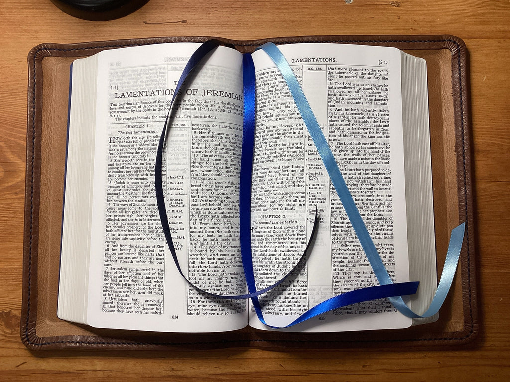 Brown Nappa sheepskin leather ESV Personal Size Extra Large Print Bible with light tan perimeter stitching and three ribbons