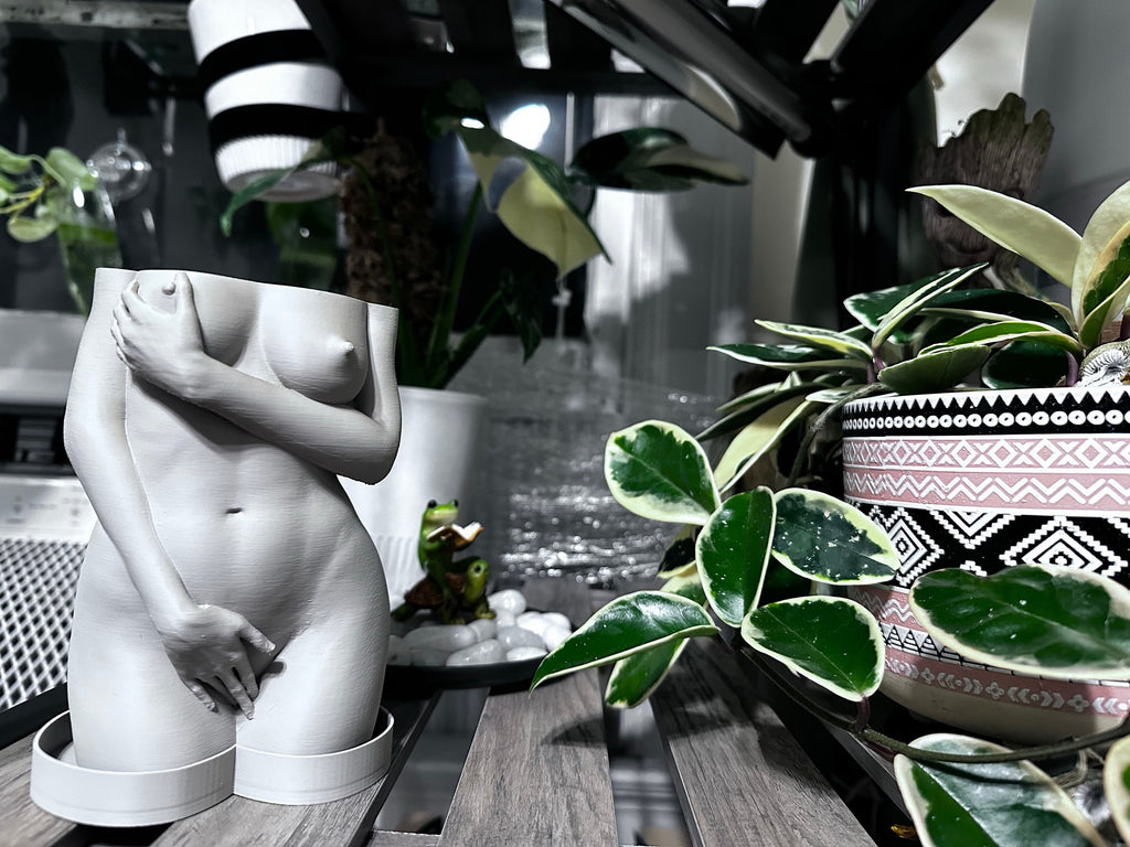 Unique Pot Artistic Naked Woman Planter, Fun Shy Decor, Quirky Office Decoration, Artistic Home Gift Idea, shy woman plant pot, female body