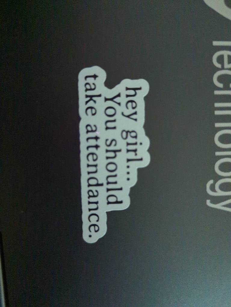 Teacher Stickers, Funny Gift for Teachers, Hey Girl, You should take attendance