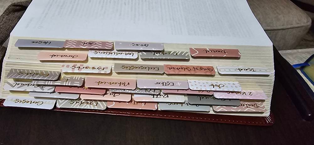 Bible Tabs | Laminated Bible Tabs | Tabs for the Bible | Pretty Bible Tab | Gifts for Christian Women | Bible Index Tabs with Gold Letters