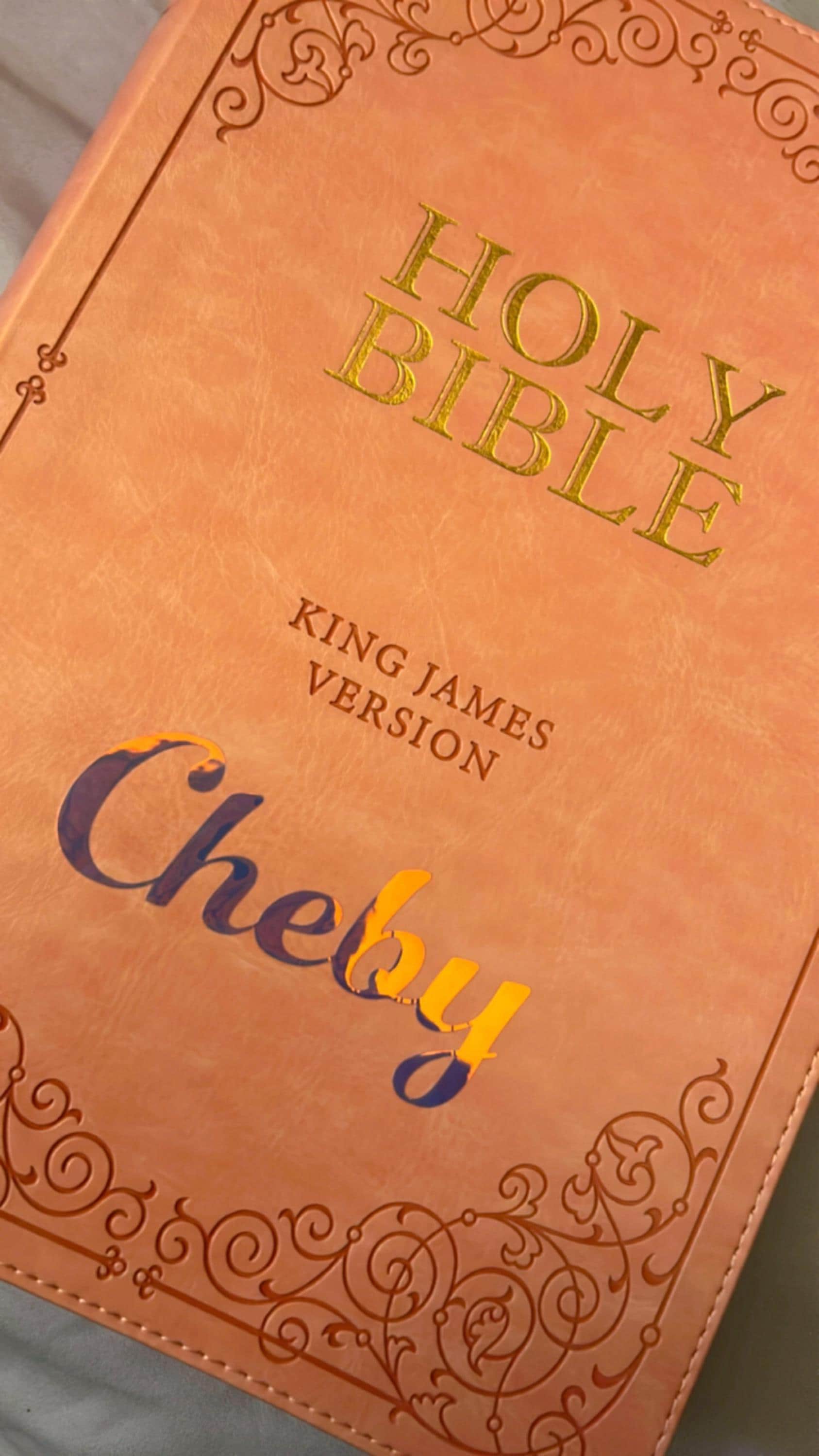 Beautiful KJV Pink LeatherSoft Giant Print Bible with Pink Ombre Tabs and Personalized with Name