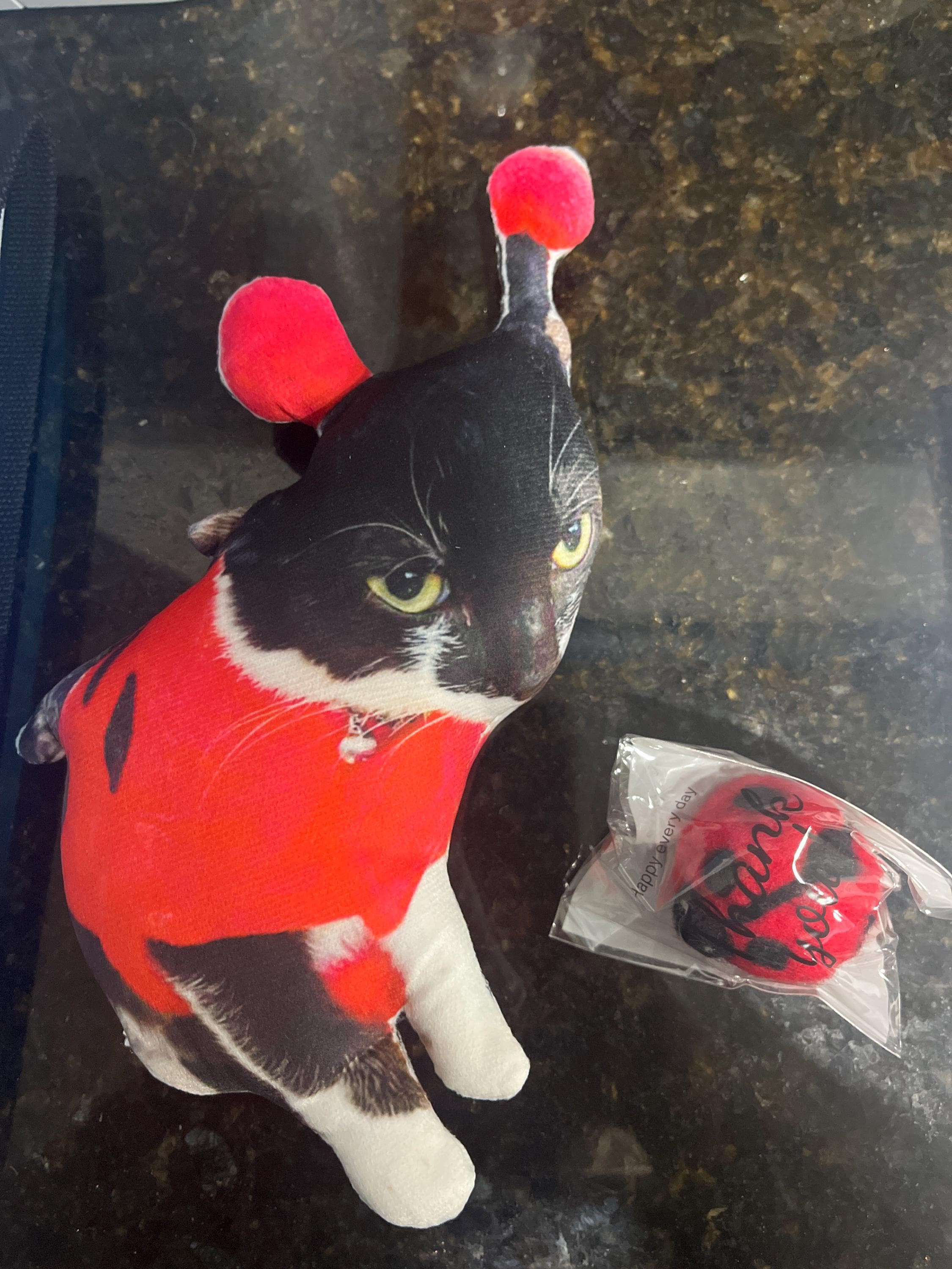 Personalized Pet Pillow, Custom 3D Pet Pillow, Ugly Pet Pillow, Pet Shaped Pillow, Pet Lover Gift, Gift for Cat Lover, Back to School Gift