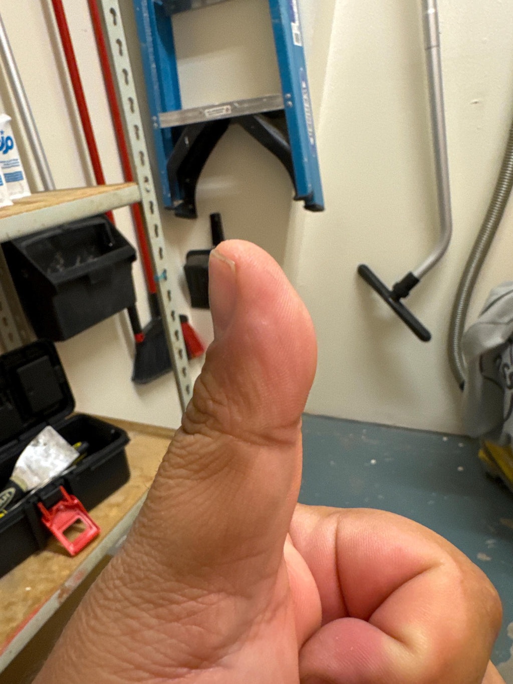 The Four Guardians Metal Bookmark Box Set | Book Lover Gift | Fantasy Collector Set | Limited Edition Mythology Based Design