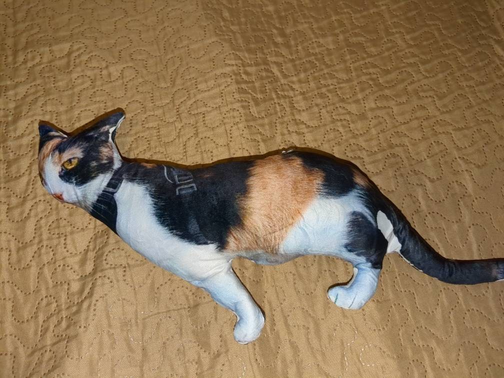 Personalized Pet Pillow, Custom 3D Pet Pillow, Ugly Pet Pillow, Pet Shaped Pillow, Pet Lover Gift, Gift for Cat Lover, Back to School Gift