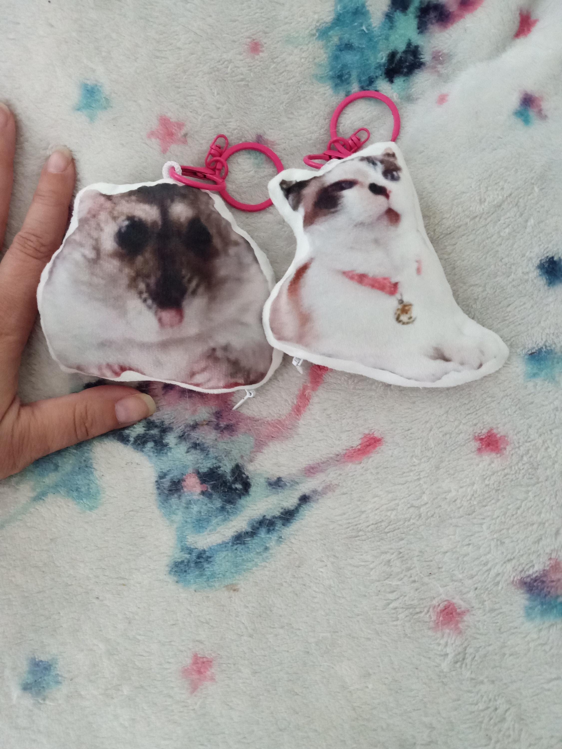 Personalized Pet Pillow, Custom 3D Pet Pillow, Ugly Pet Pillow, Pet Shaped Pillow, Pet Lover Gift, Gift for Cat Lover, Back to School Gift