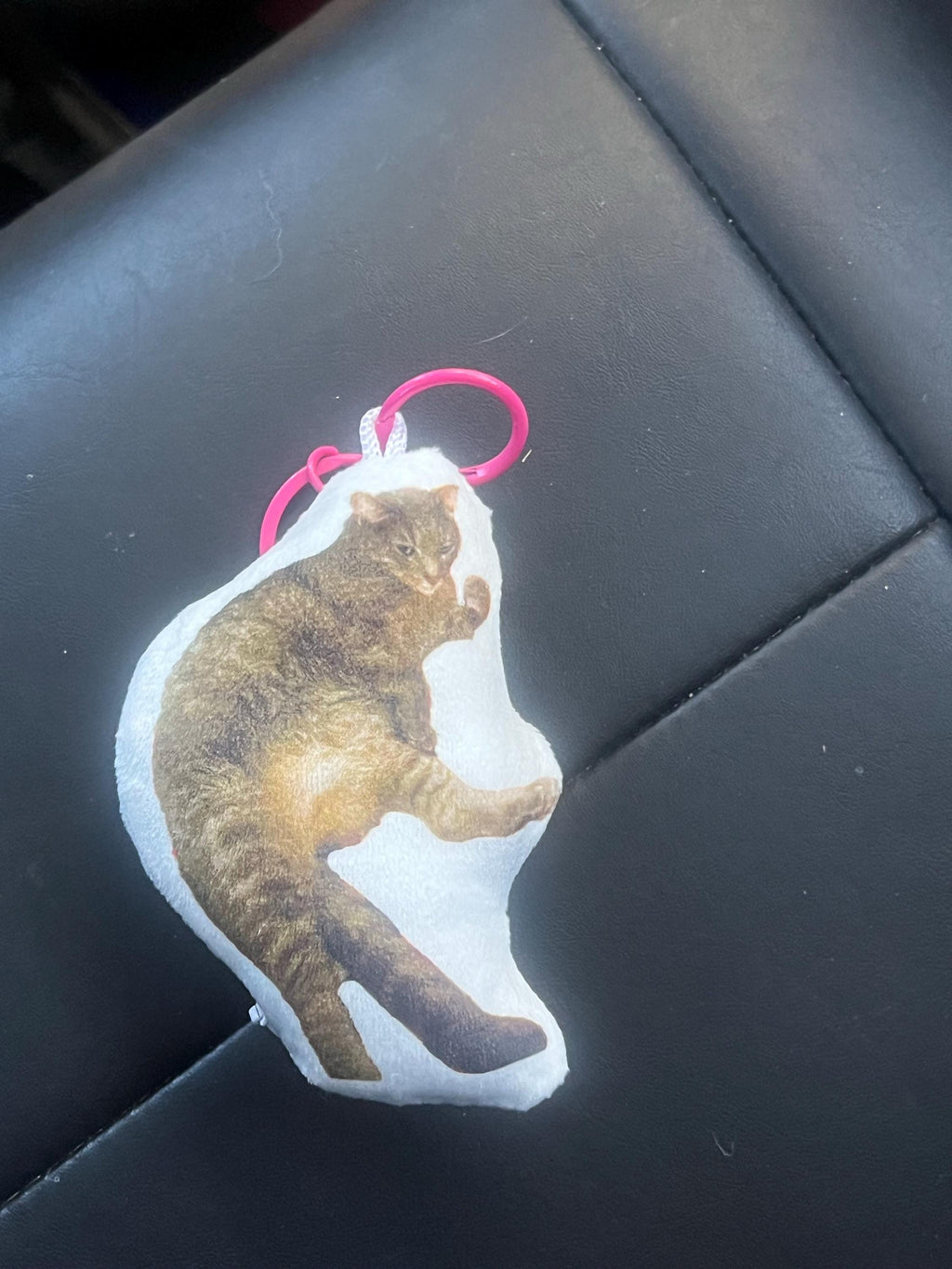 Personalized Pet Pillow, Custom 3D Pet Pillow, Ugly Pet Pillow, Pet Shaped Pillow, Pet Lover Gift, Gift for Cat Lover, Back to School Gift