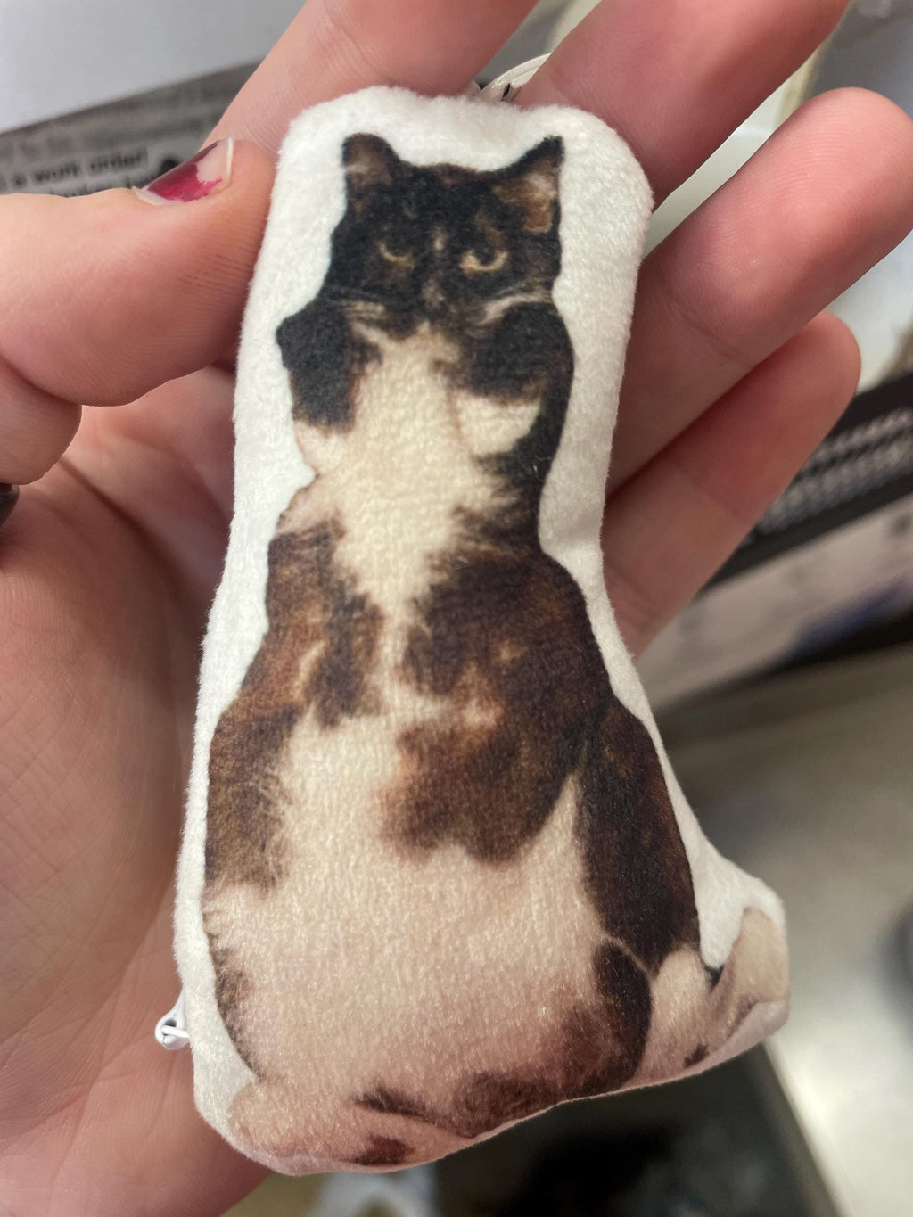 Personalized Pet Pillow, Custom 3D Pet Pillow, Ugly Pet Pillow, Pet Shaped Pillow, Pet Lover Gift, Gift for Cat Lover, Back to School Gift