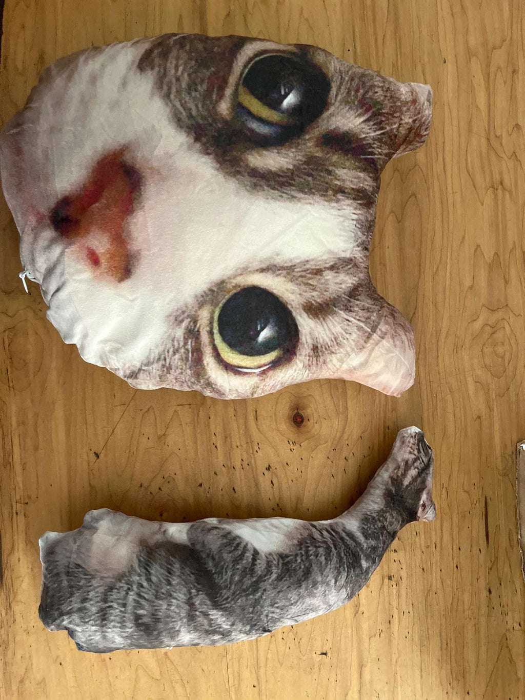 Personalized Pet Pillow, Custom 3D Pet Pillow, Ugly Pet Pillow, Pet Shaped Pillow, Pet Lover Gift, Gift for Cat Lover, Back to School Gift