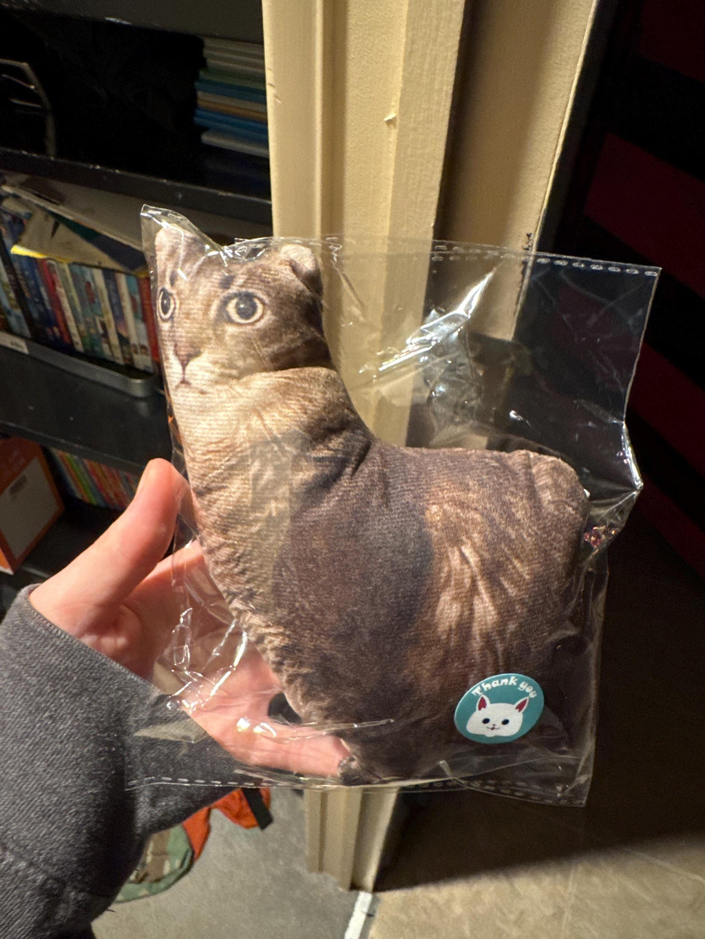 Personalized Pet Pillow, Custom 3D Pet Pillow, Ugly Pet Pillow, Pet Shaped Pillow, Pet Lover Gift, Gift for Cat Lover, Back to School Gift