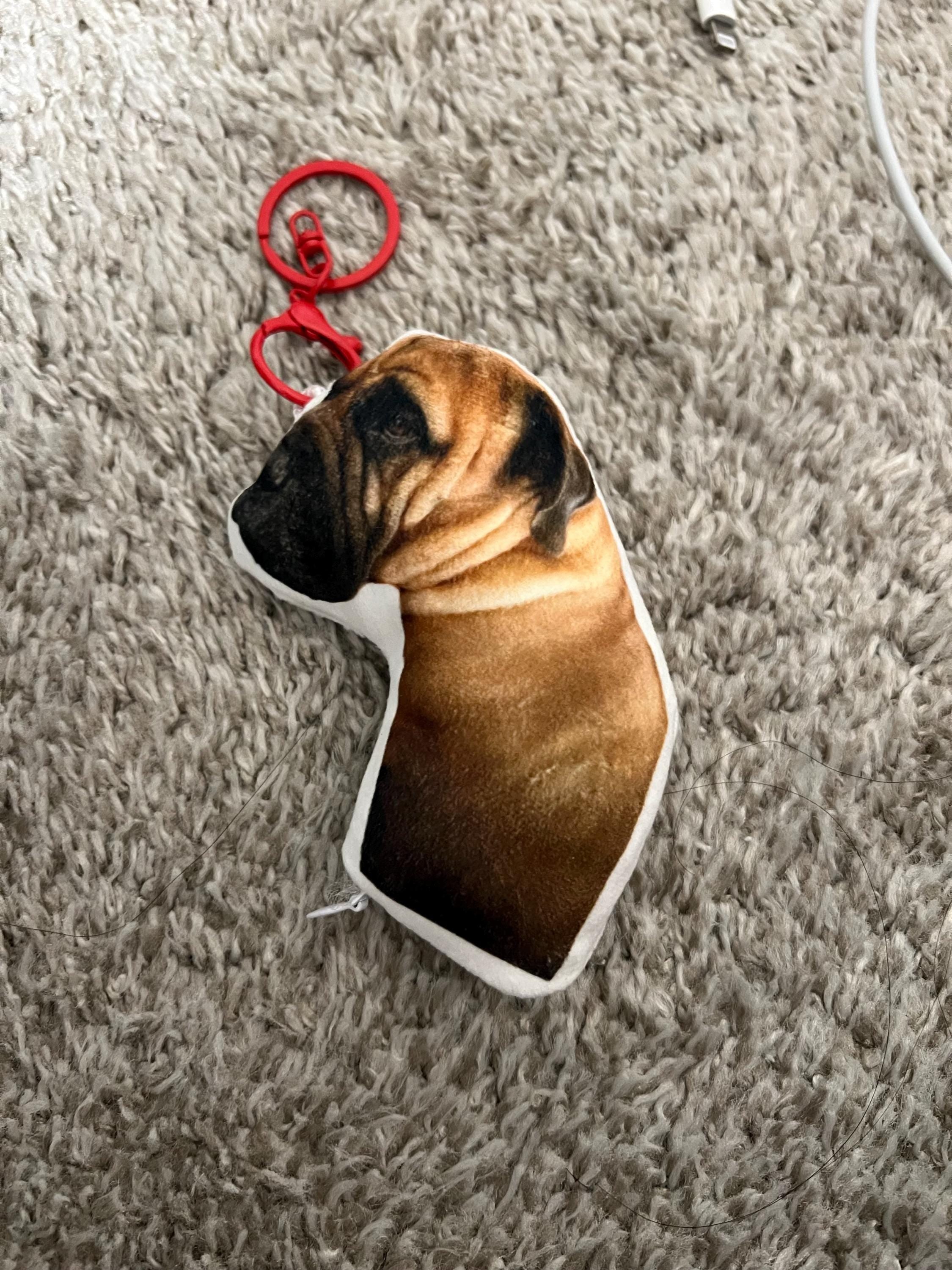 Personalized Pet Pillow, Custom 3D Pet Pillow, Ugly Pet Pillow, Pet Shaped Pillow, Pet Lover Gift, Gift for Cat Lover, Back to School Gift