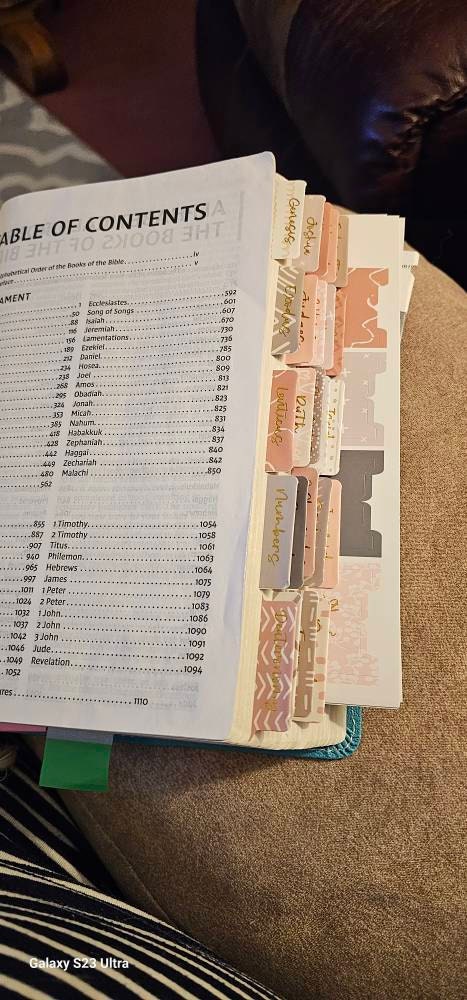 Bible Tabs | Laminated Bible Tabs | Tabs for the Bible | Pretty Bible Tab | Gifts for Christian Women | Bible Index Tabs with Gold Letters
