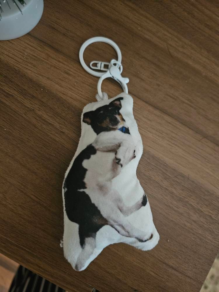 Personalized Pet Pillow, Custom 3D Pet Pillow, Ugly Pet Pillow, Pet Shaped Pillow, Pet Lover Gift, Gift for Cat Lover, Back to School Gift