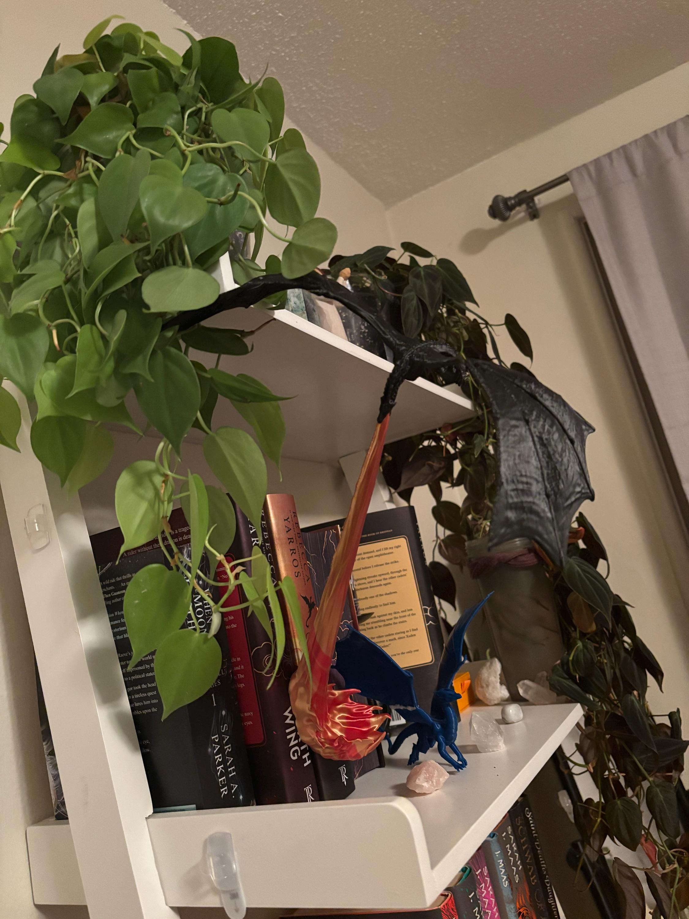 Fly-By Fire Breathing Dragon Bookshelf Decor - Fantasy Display for Dragon Lovers | Dragon Book Shelf Decor | Graduation Gift | Graduate Gift