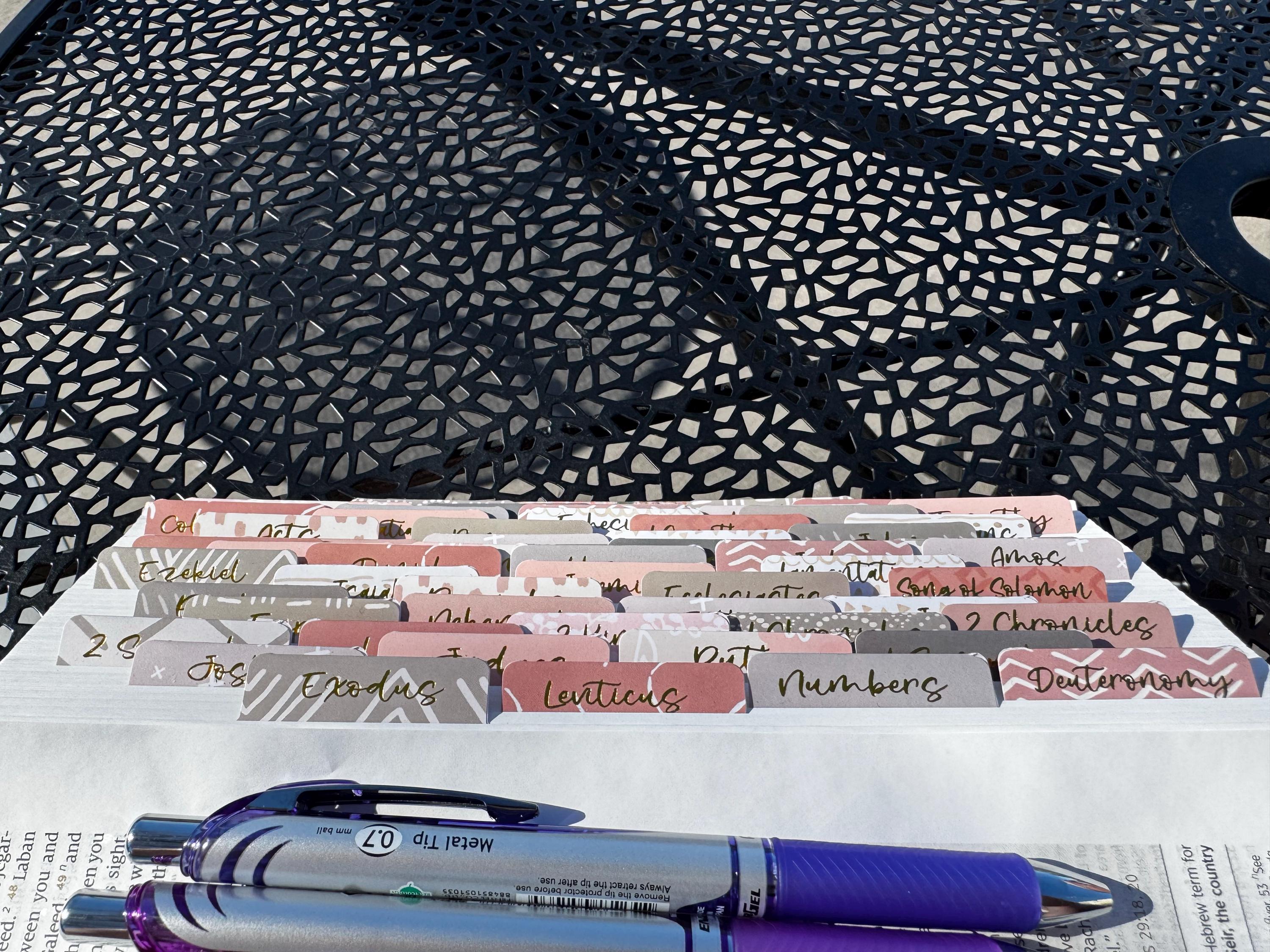 Bible Tabs | Laminated Bible Tabs | Tabs for the Bible | Pretty Bible Tab | Gifts for Christian Women | Bible Index Tabs with Gold Letters