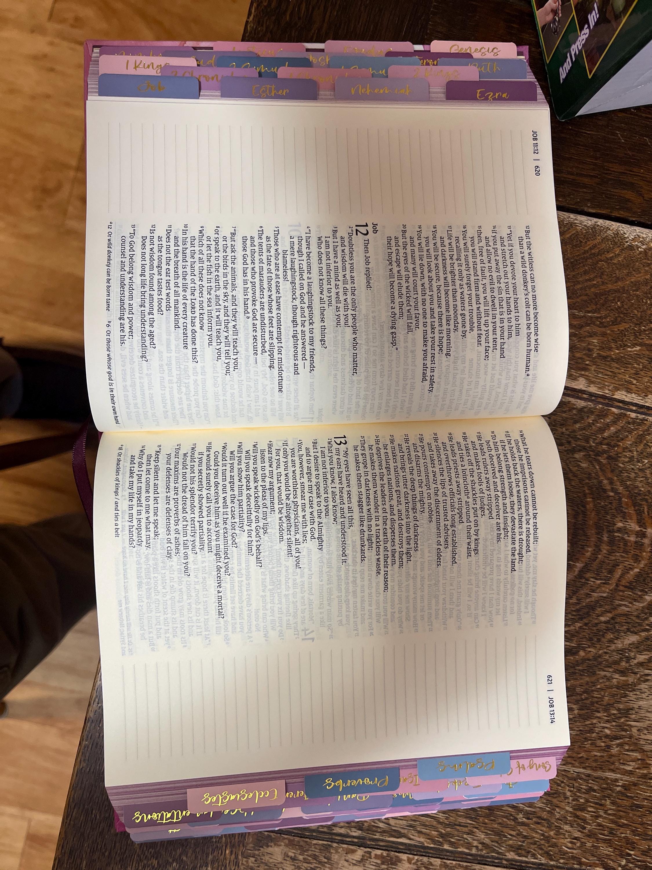 Gorgeous NIV Pink Marble Bible with TABS, Cloth over Board, Art Gilded Edges, Red Letter, Comfort Print